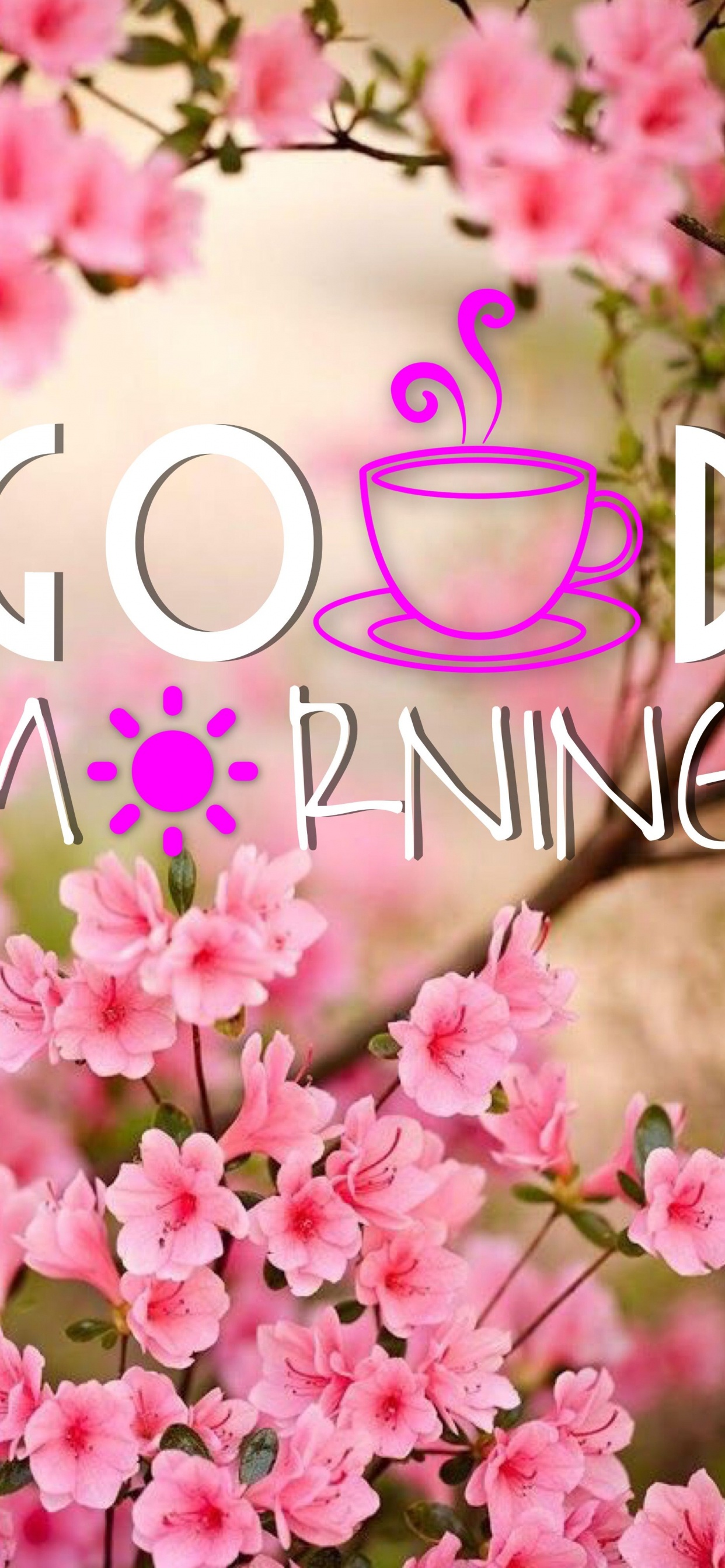 Texto. Wallpaper in 1242x2688 Resolution