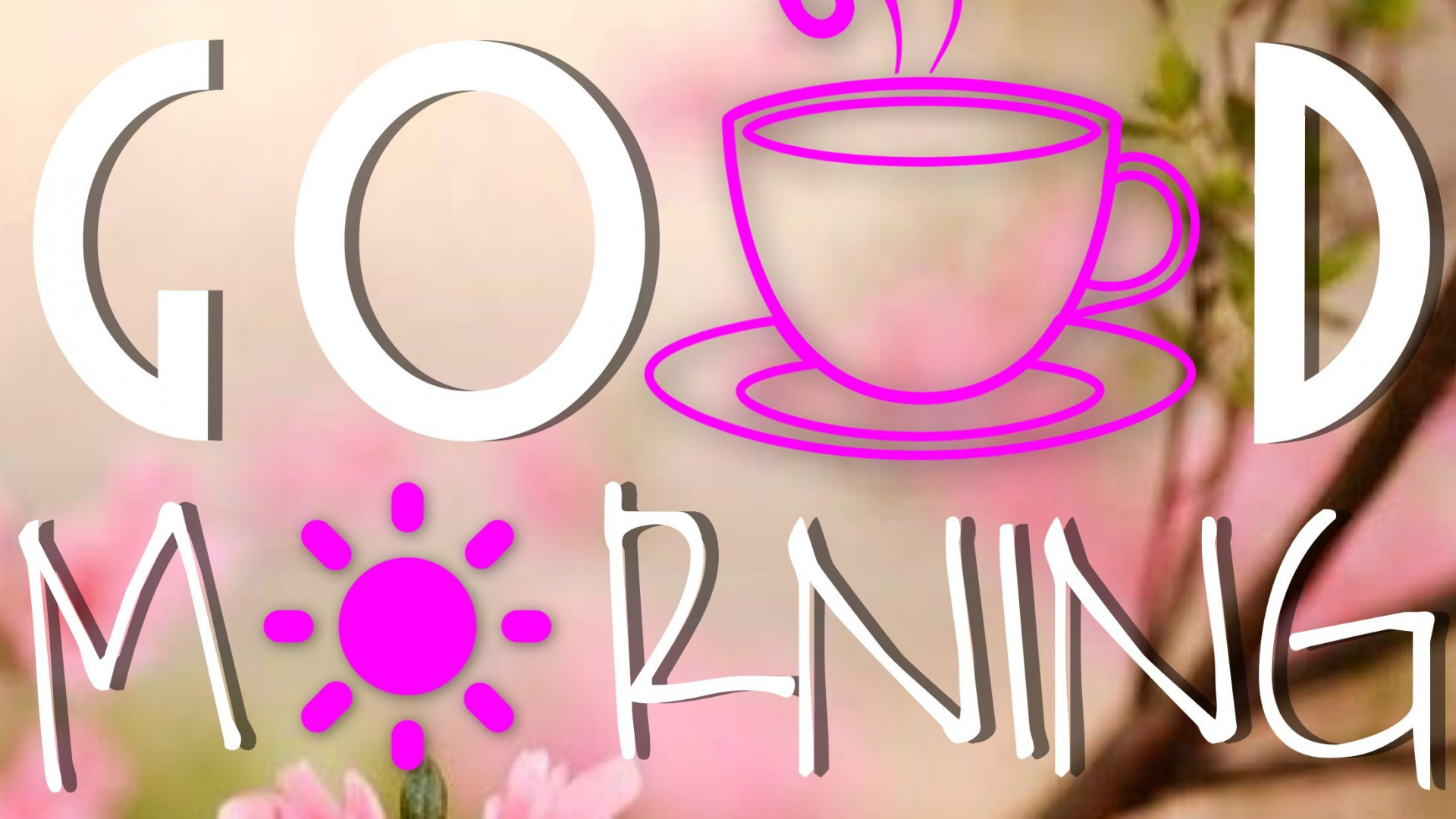 早上, 粉红色, 弹簧, 文本, 开花 壁纸 1920x1080 允许