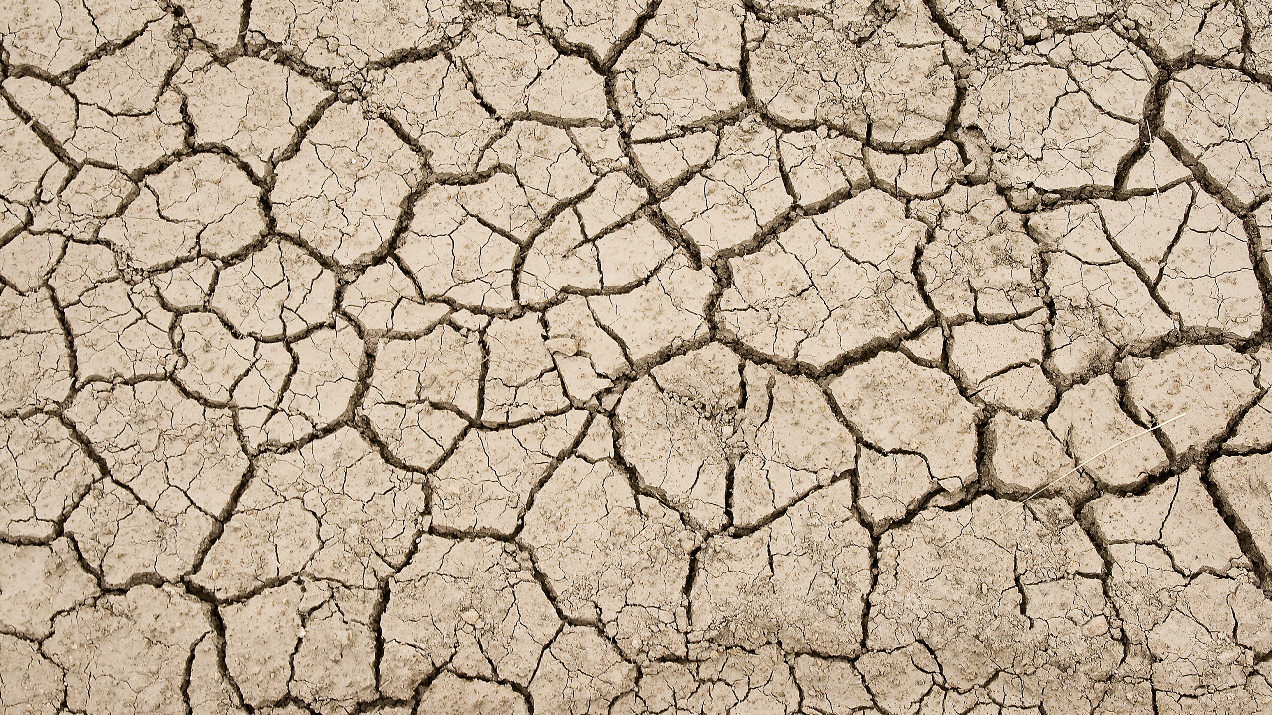 Brown and Gray Concrete Floor. Wallpaper in 2560x1440 Resolution