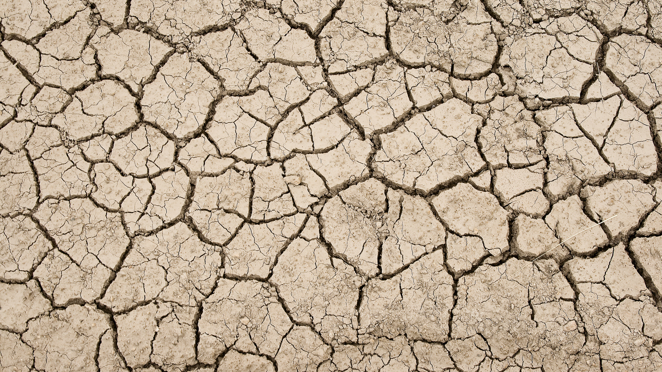 纹理, 干旱, 的土壤, 艺术, 草 壁纸 1366x768 允许