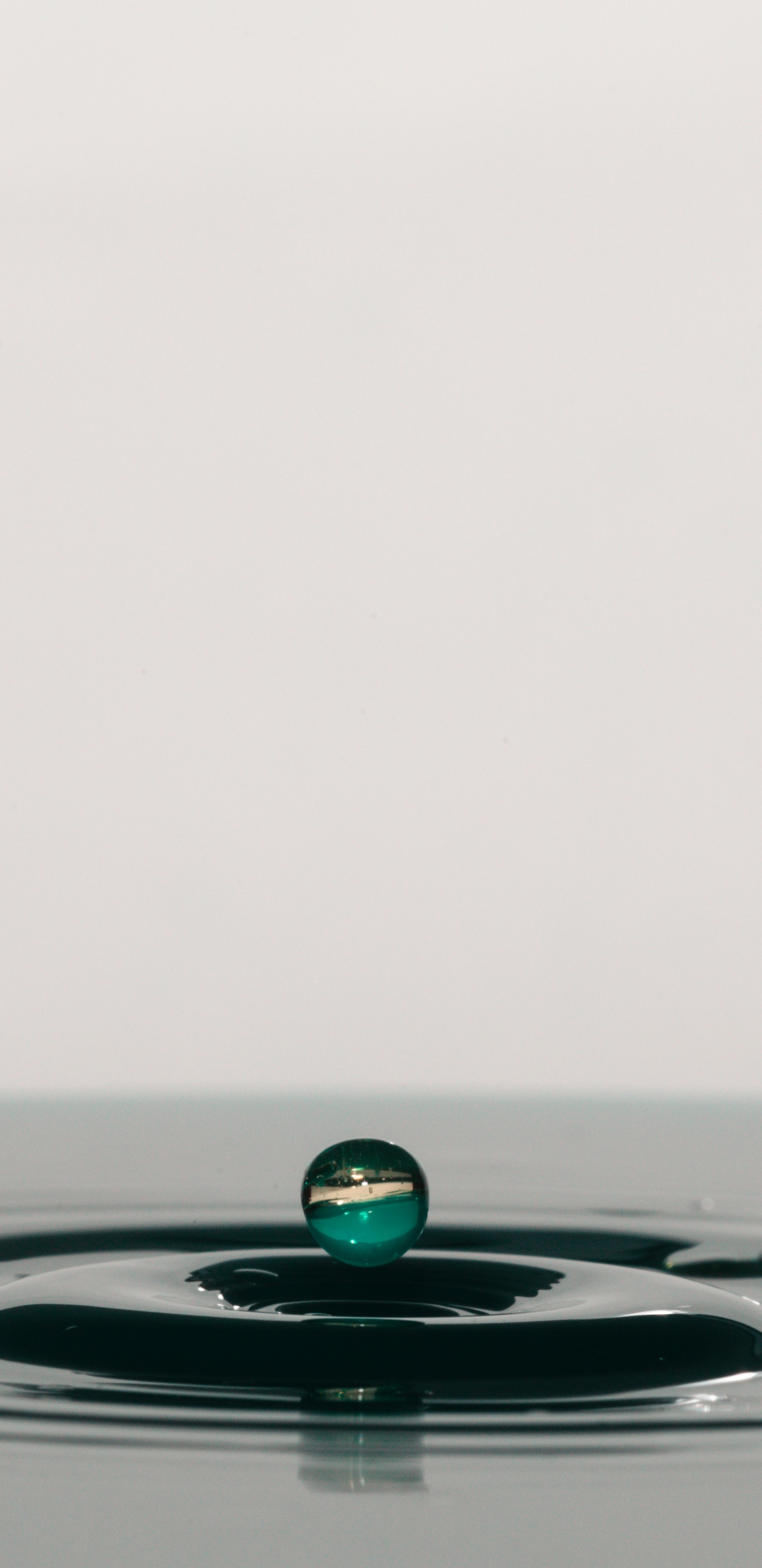 液体, 放下, 绿色的, 水资源, 流体 壁纸 1440x2960 允许