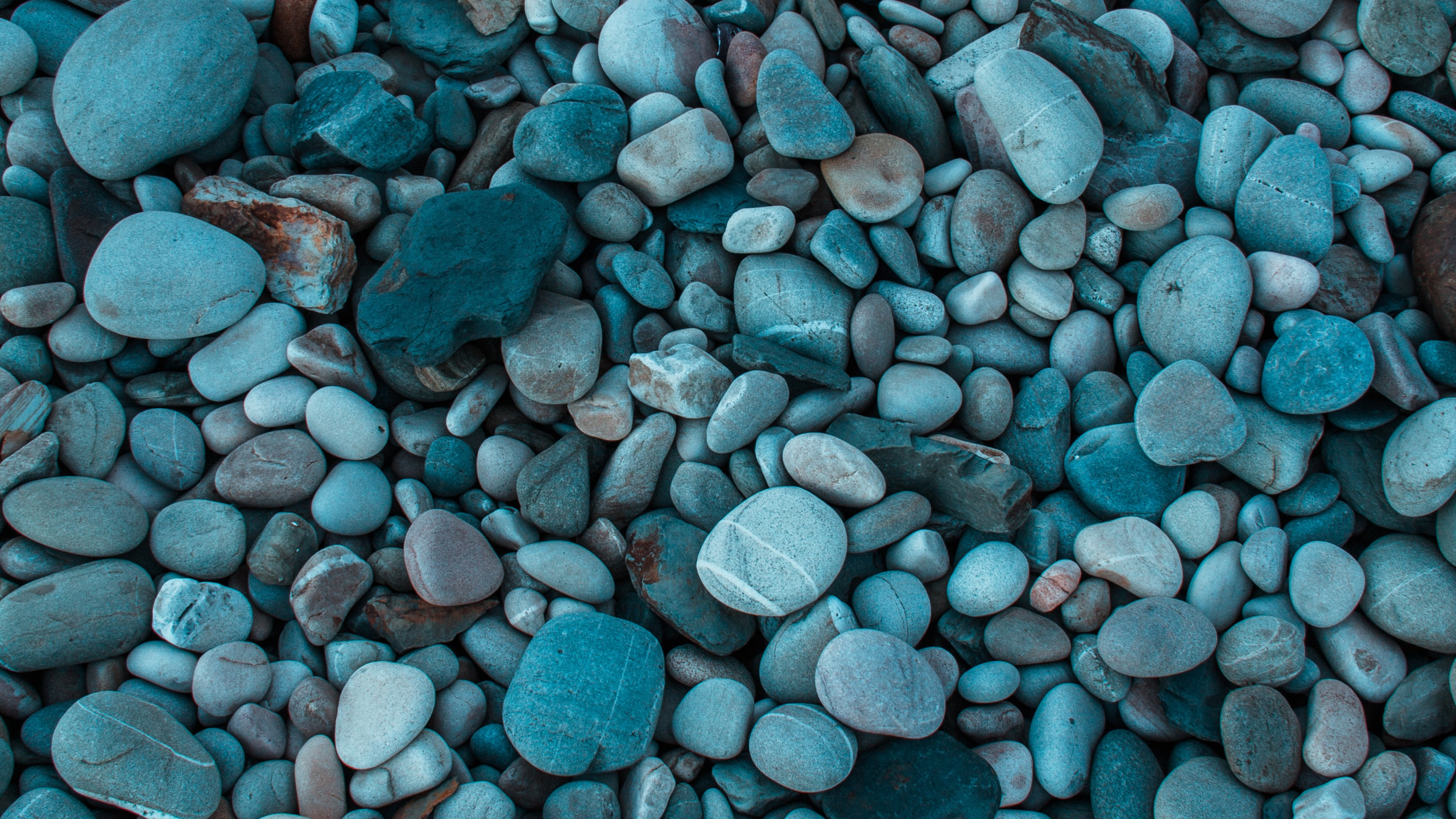 Beautiful Blue Grey Nature, Grey, Pebble, Flower, Sea. Wallpaper in 2560x1440 Resolution