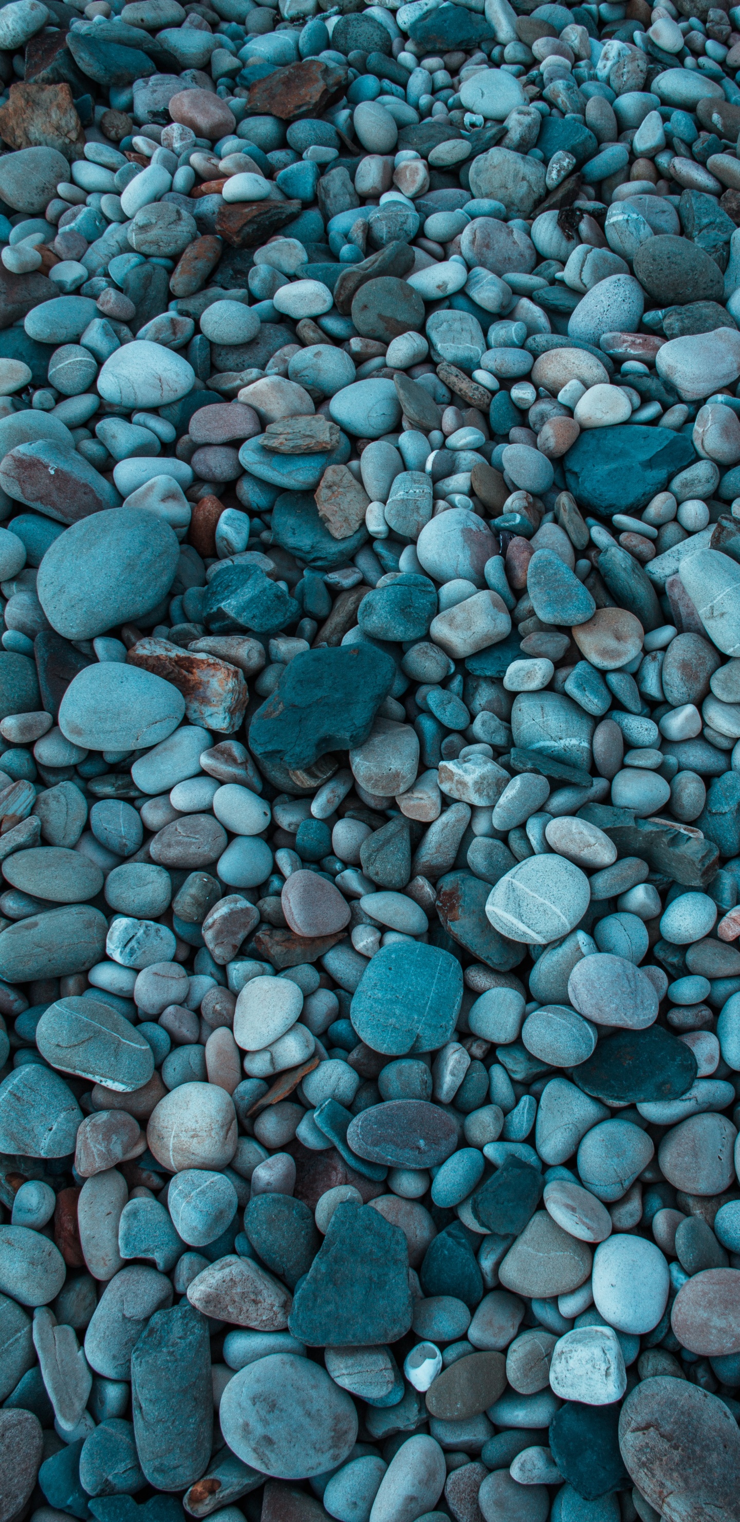 卵石, 大海, 性质, Azure, 水上 壁纸 1440x2960 允许