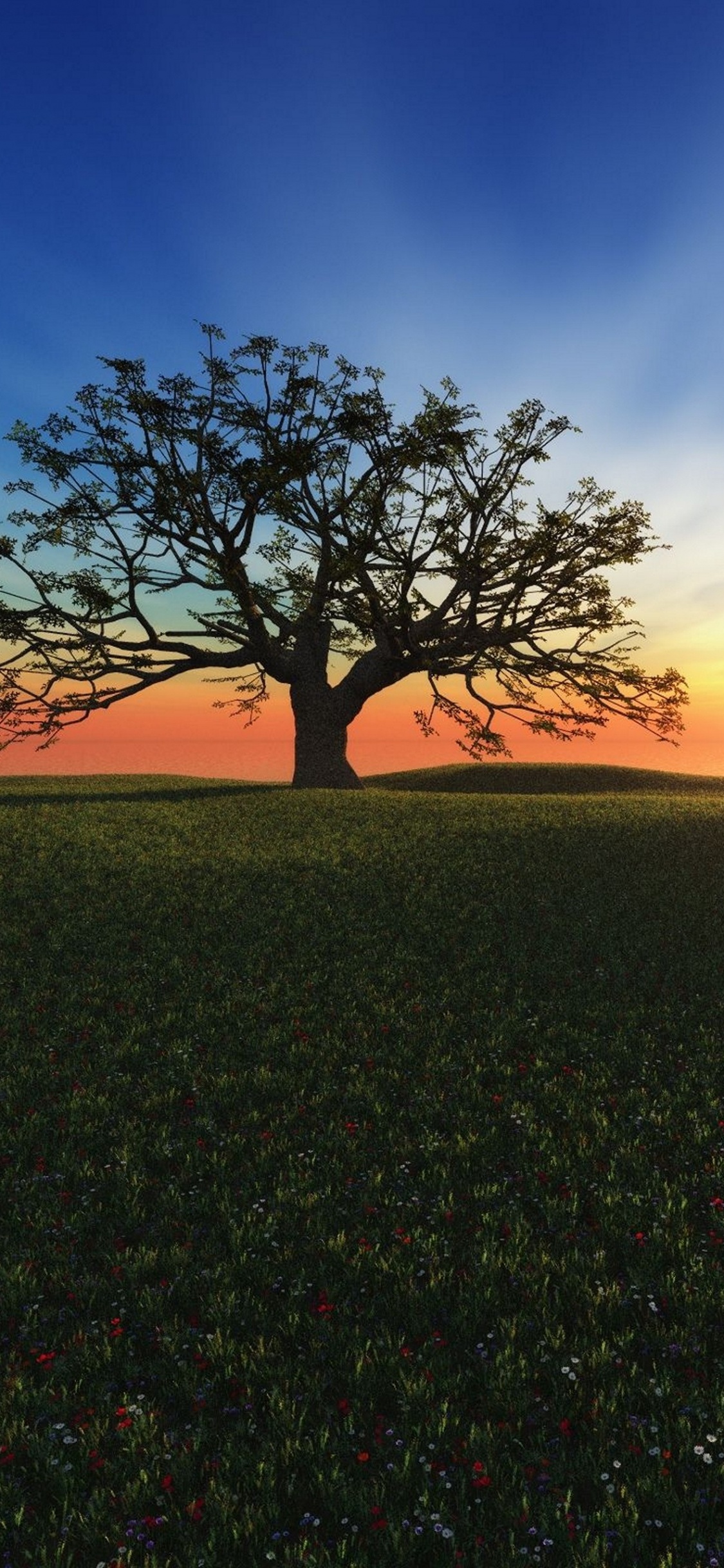 Árbol Verde en el Campo de Hierba Verde Durante la Puesta de Sol. Wallpaper in 1125x2436 Resolution