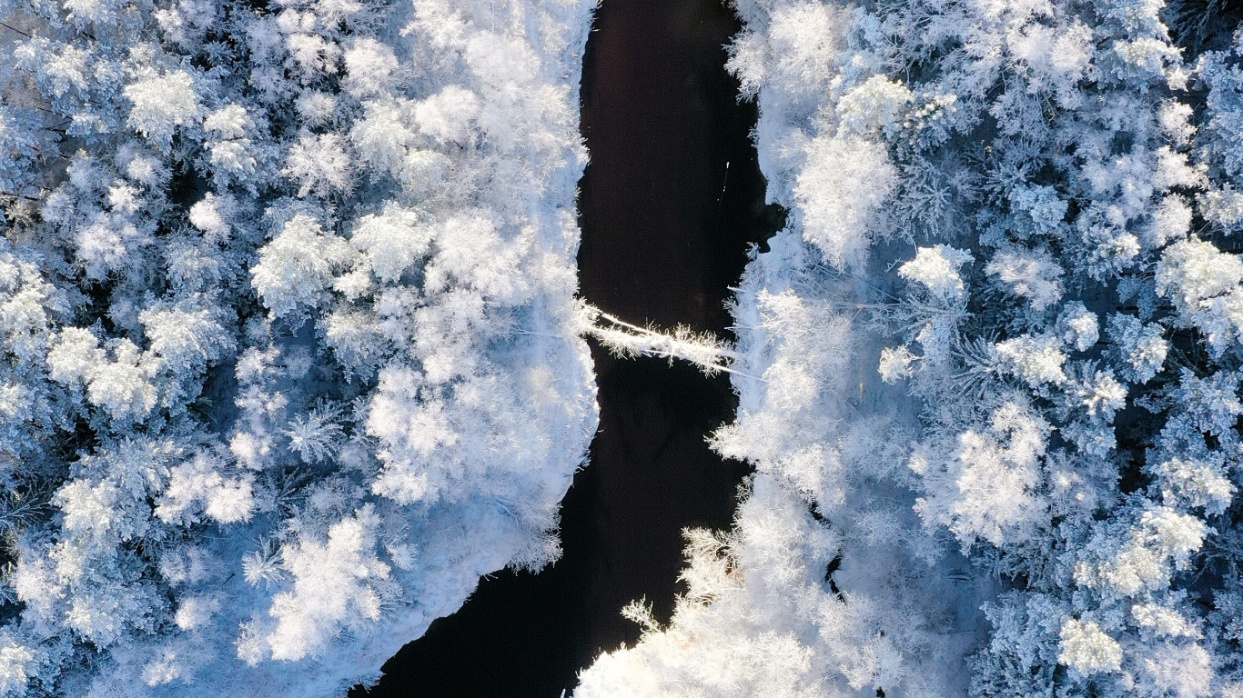 Nieve, Invierno, Congelación, Helada, Hielo. Wallpaper in 1366x768 Resolution