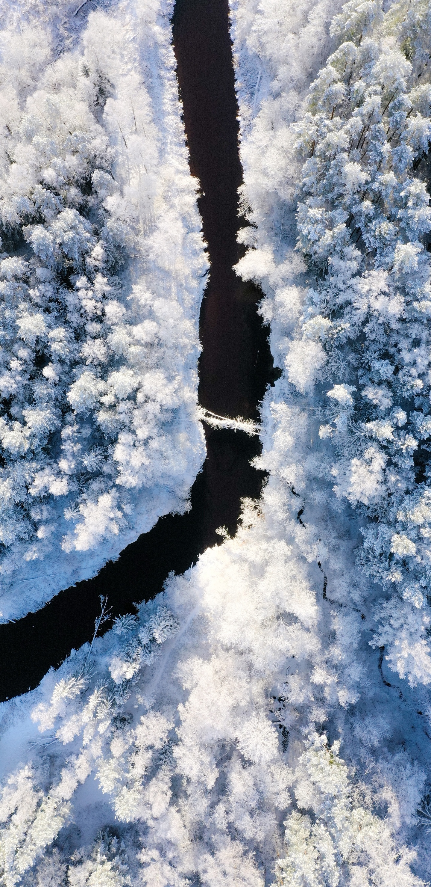 Nieve, Invierno, Congelación, Helada, Hielo. Wallpaper in 1440x2960 Resolution