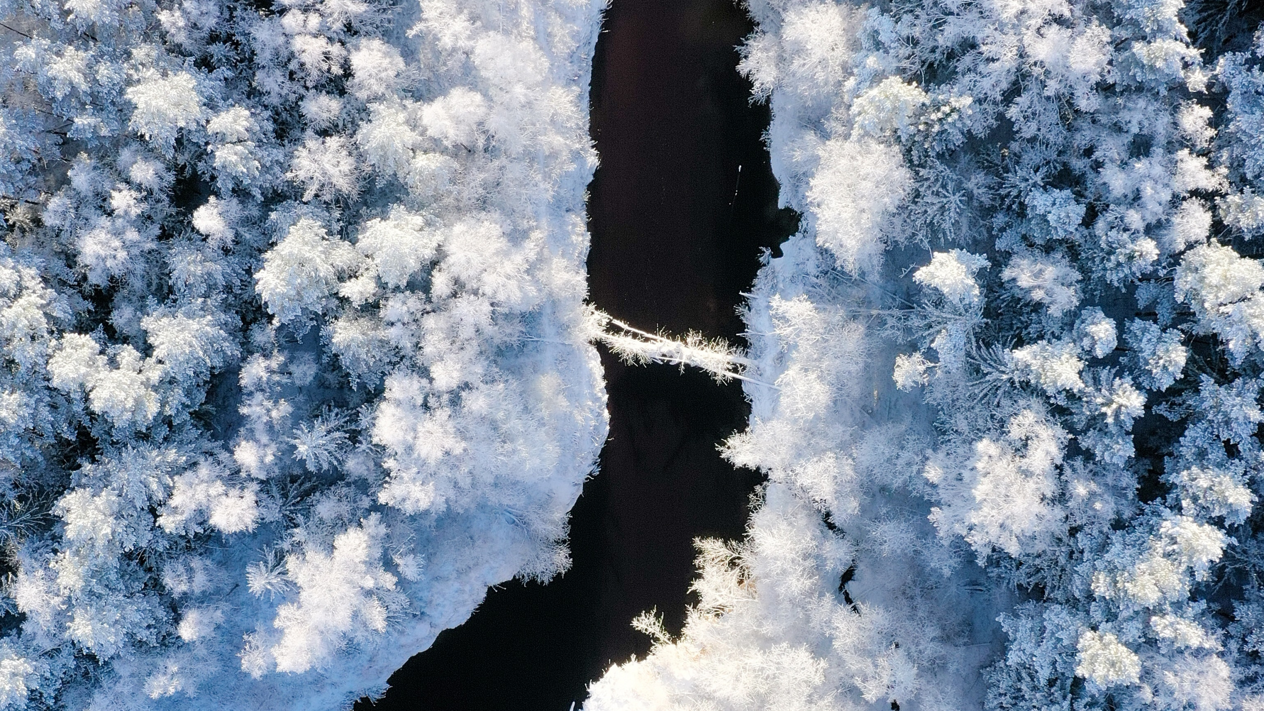 Nieve, Invierno, Congelación, Helada, Hielo. Wallpaper in 2560x1440 Resolution