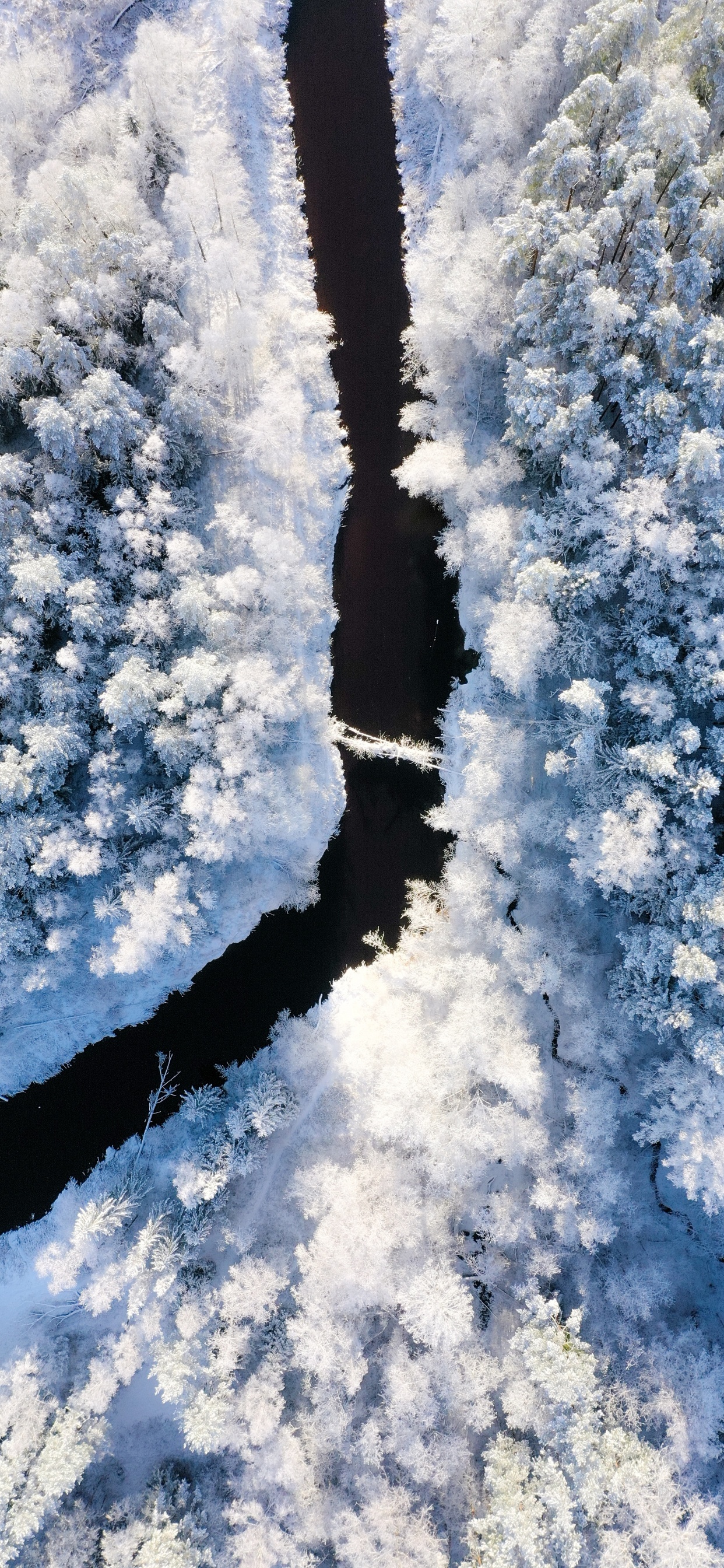 Snow, Winter, Freezing, Frost, Cloud. Wallpaper in 1242x2688 Resolution