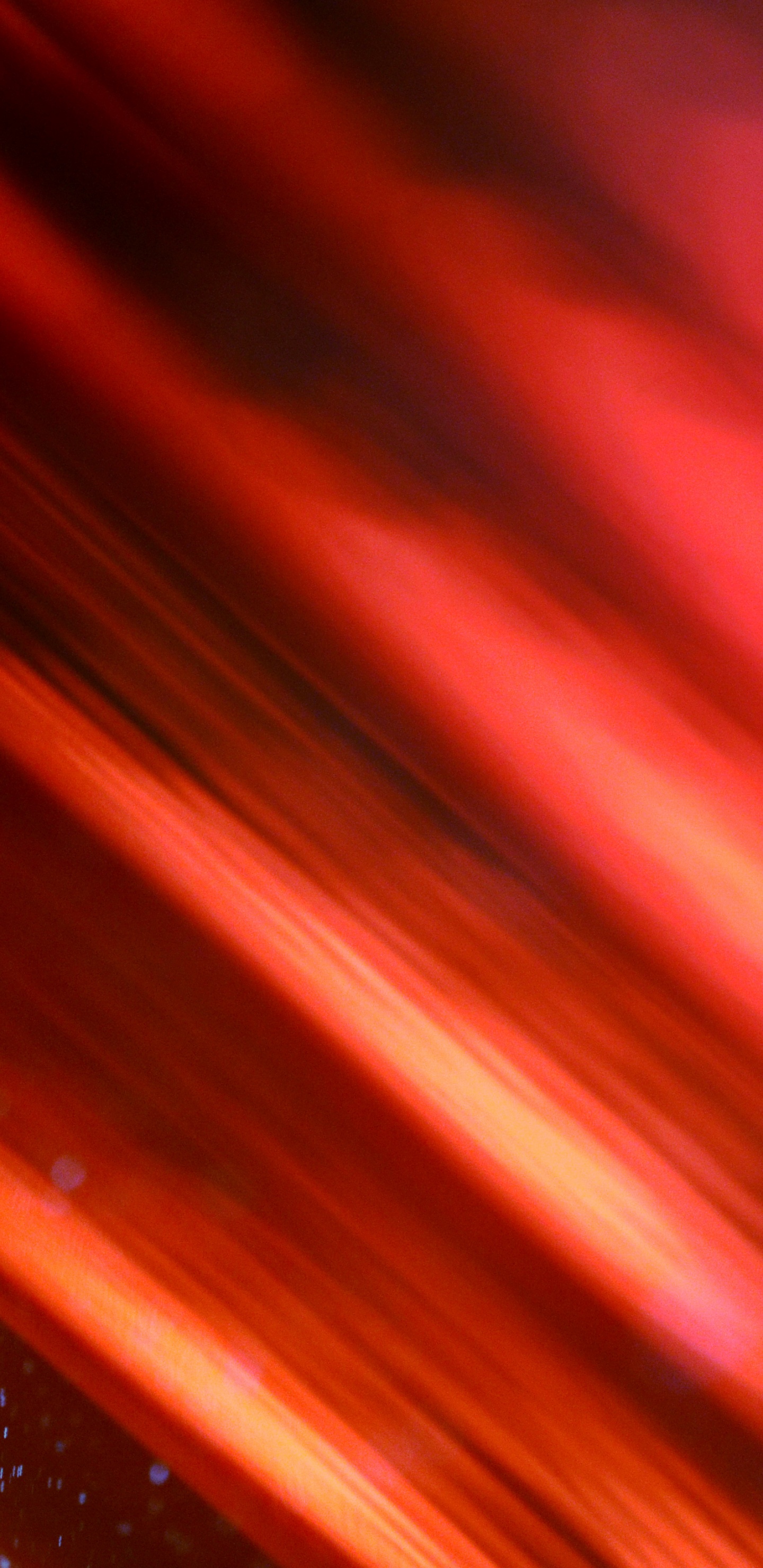 红色的, 光, 橙色, 品红色, 和阴影的色彩 壁纸 1440x2960 允许