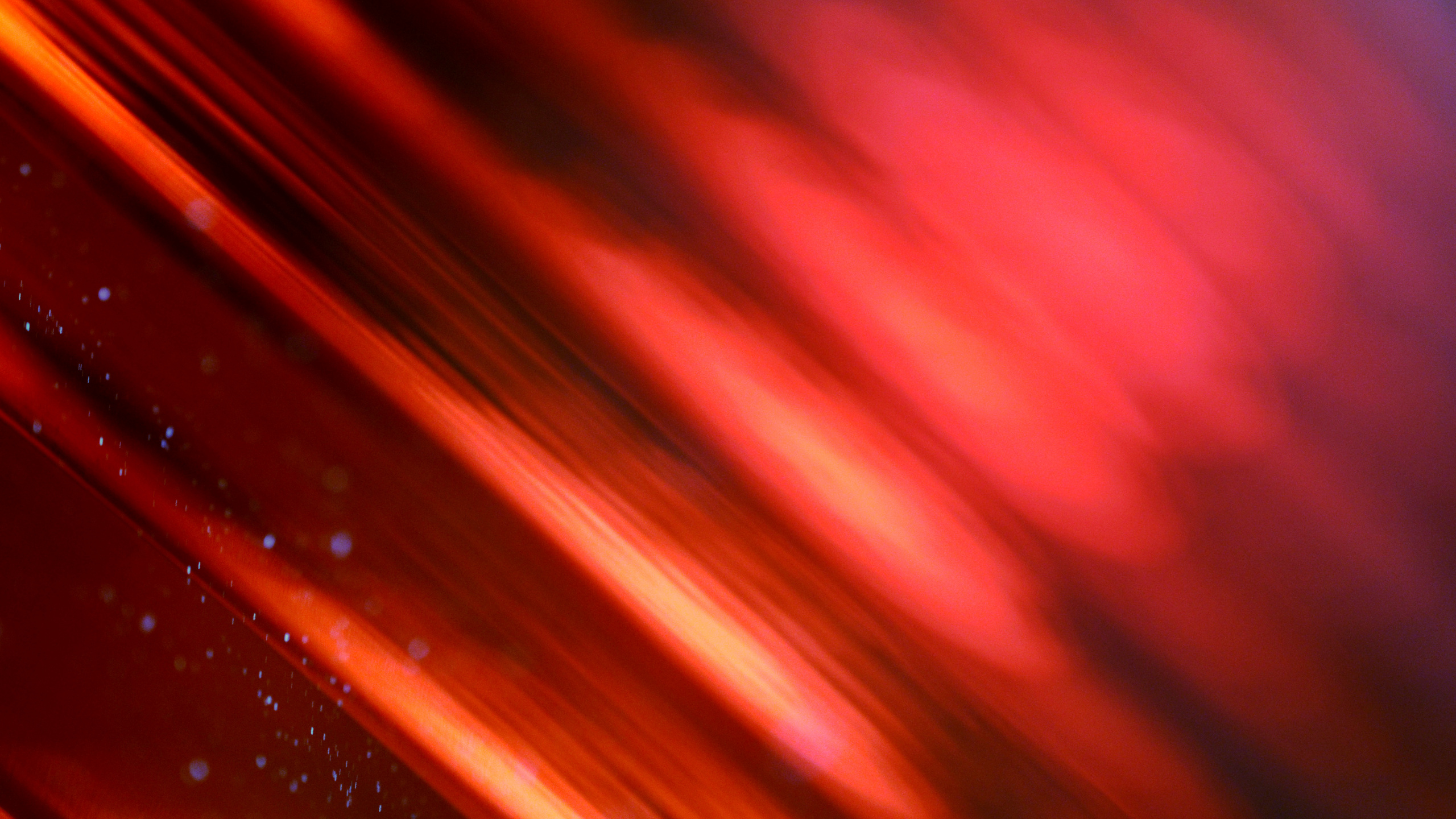 红色的, 光, 橙色, 品红色, 和阴影的色彩 壁纸 2560x1440 允许