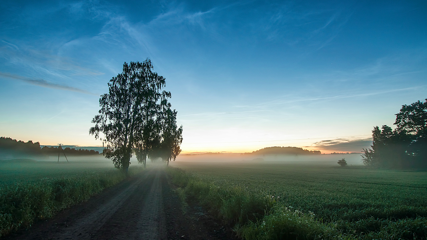 Grüner Baum Auf Grüner Wiese Tagsüber. Wallpaper in 1366x768 Resolution