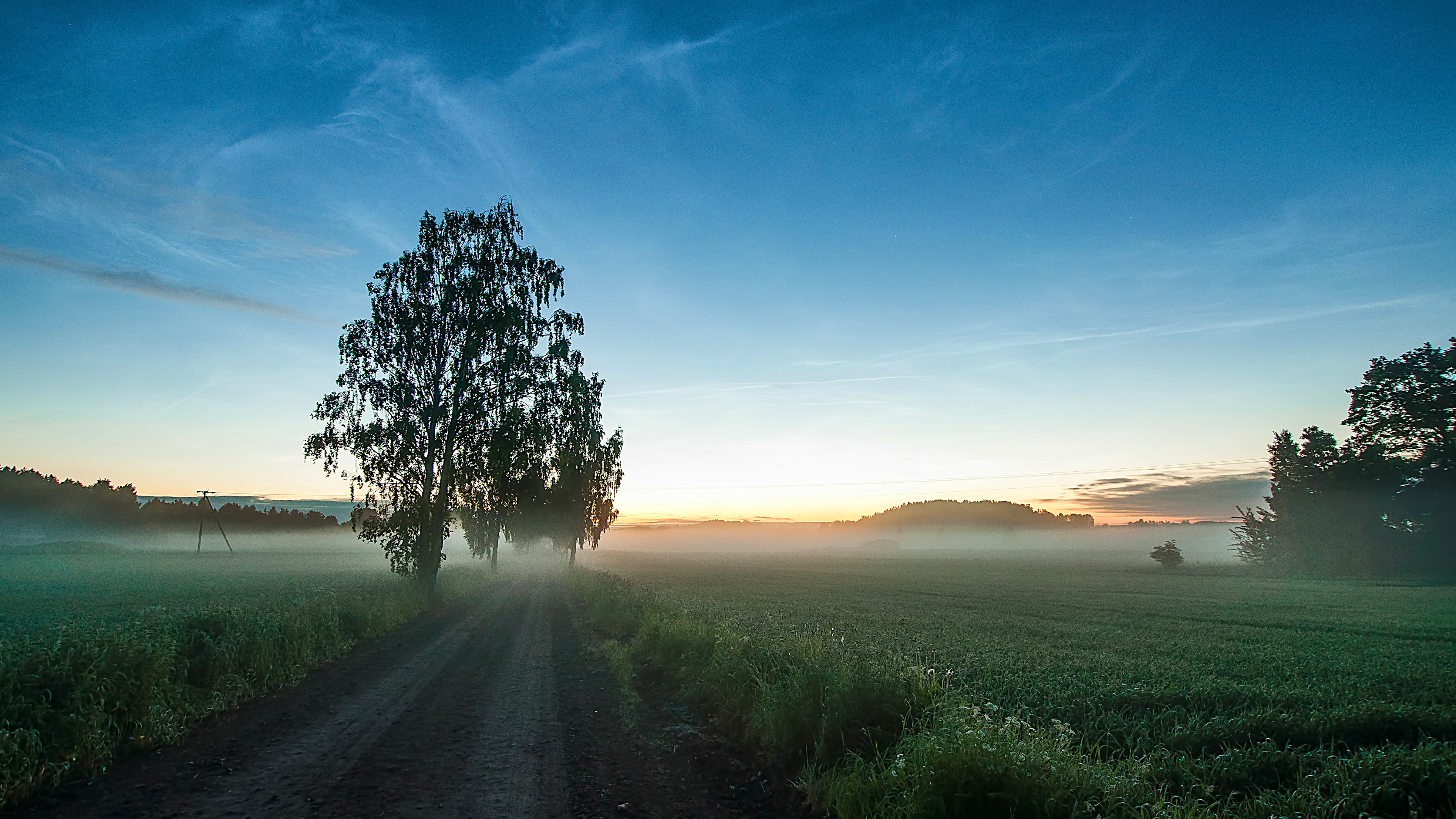 Arbre Vert Sur Terrain D'herbe Verte Pendant la Journée. Wallpaper in 3840x2160 Resolution