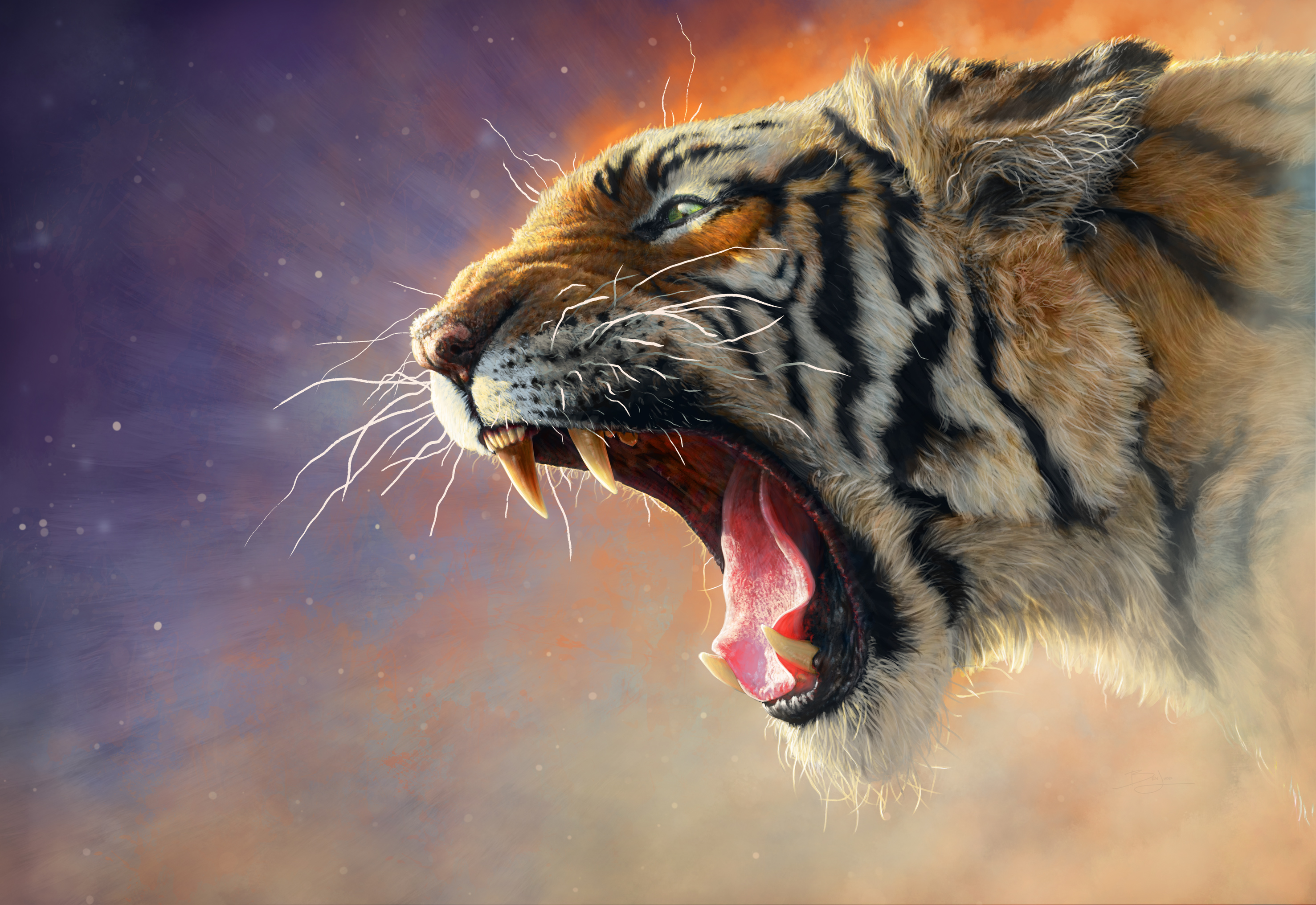 fondo de pantalla de tigre negro hd 1080p