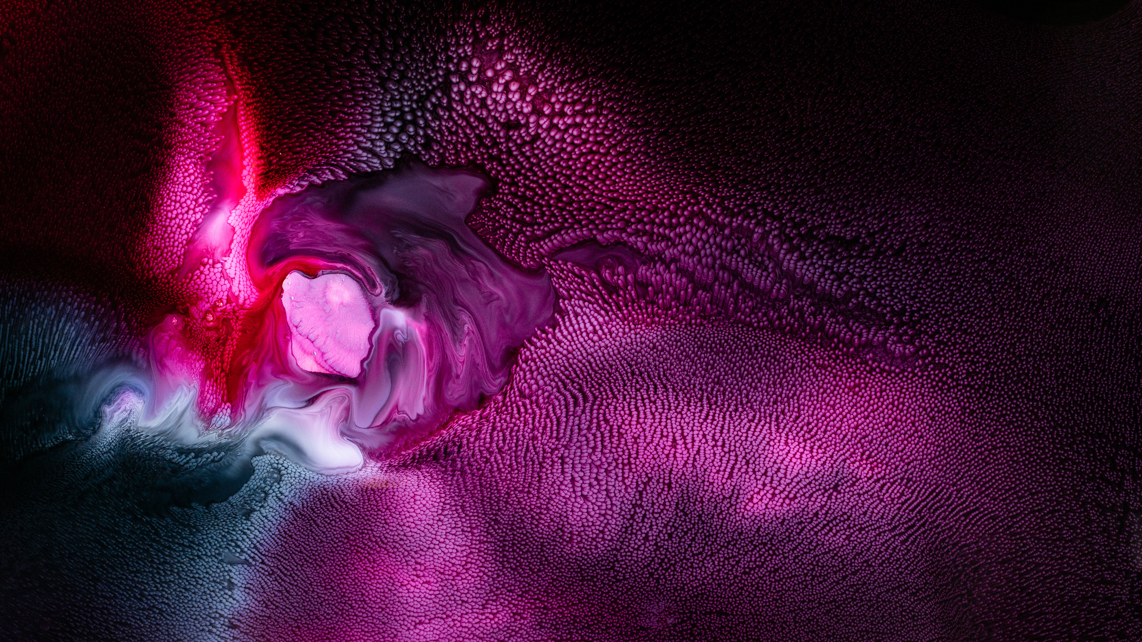 Rosa Und Weißer Pelztextil. Wallpaper in 3840x2160 Resolution