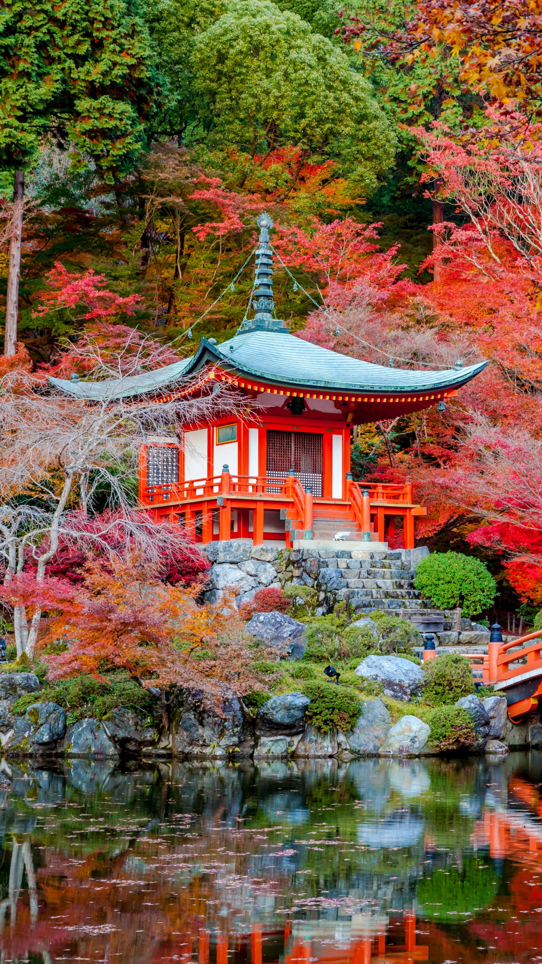 性质, 枫叶, 旅游景点, 枫树, 佛教 壁纸 1080x1920 允许