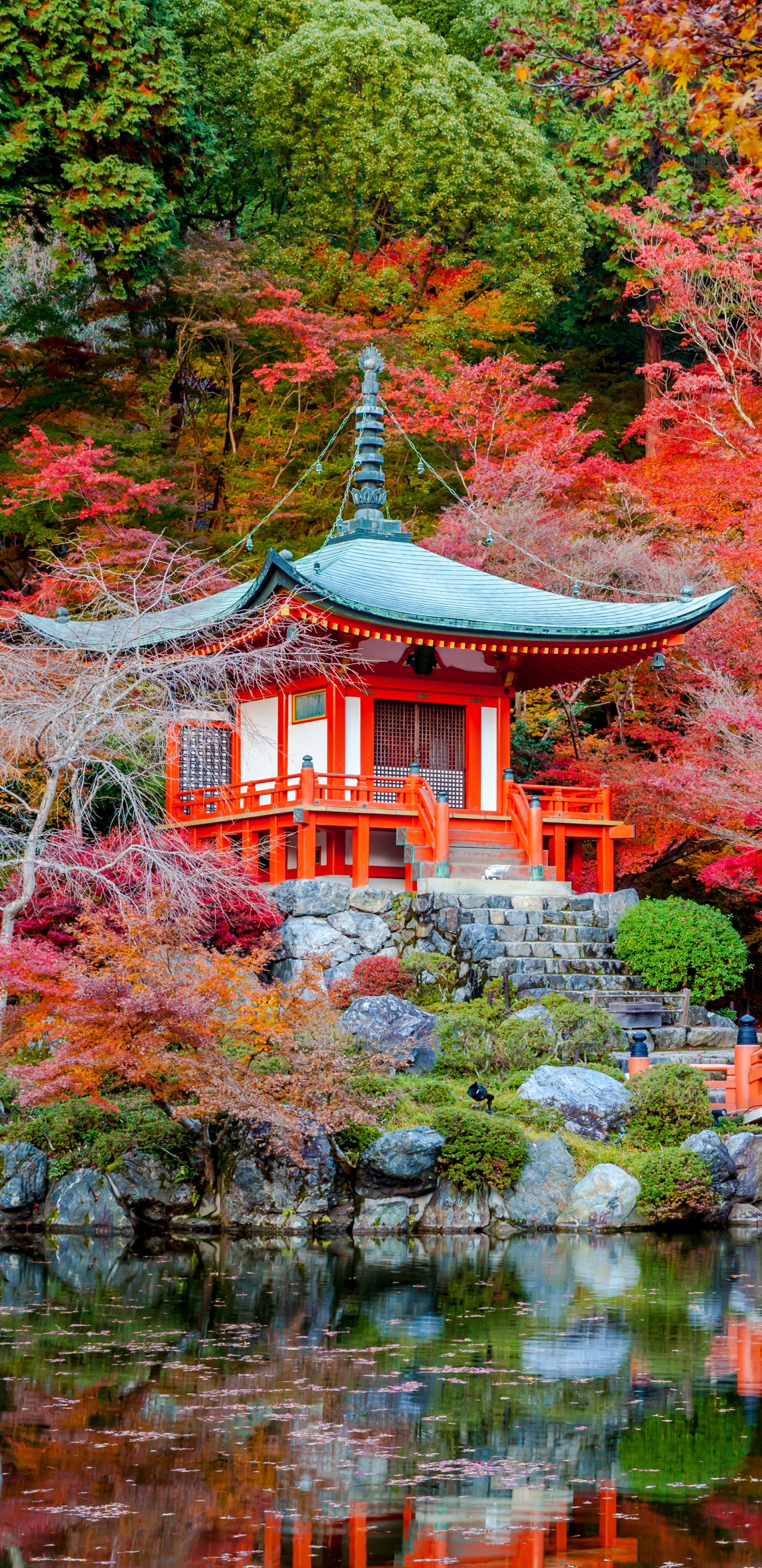 性质, 枫叶, 旅游景点, 枫树, 佛教 壁纸 1440x2960 允许