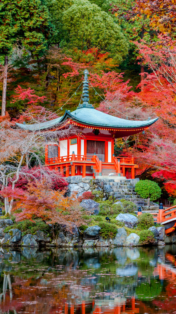 性质, 枫叶, 旅游景点, 枫树, 佛教 壁纸 750x1334 允许