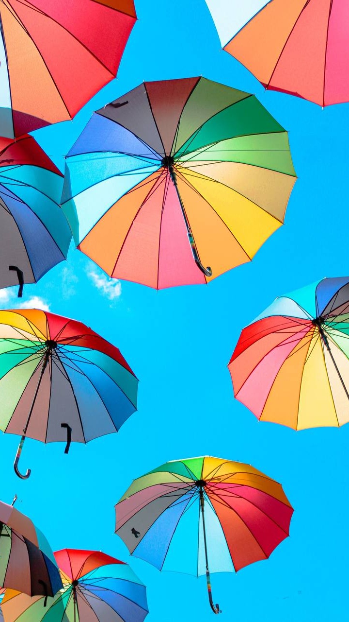 Parapluie, White, Lumière, Blue, Nature. Wallpaper in 720x1280 Resolution