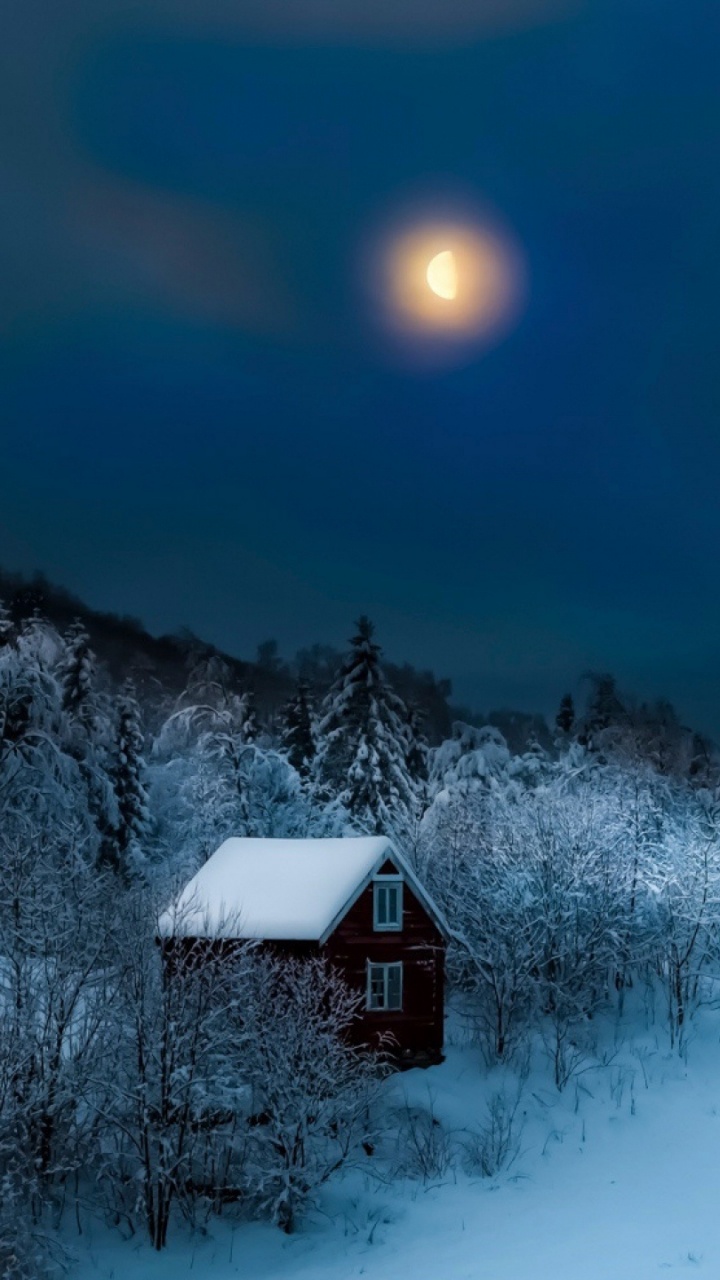 Casa Cubierta de Nieve Cerca de Los Árboles Durante la Noche. Wallpaper in 720x1280 Resolution