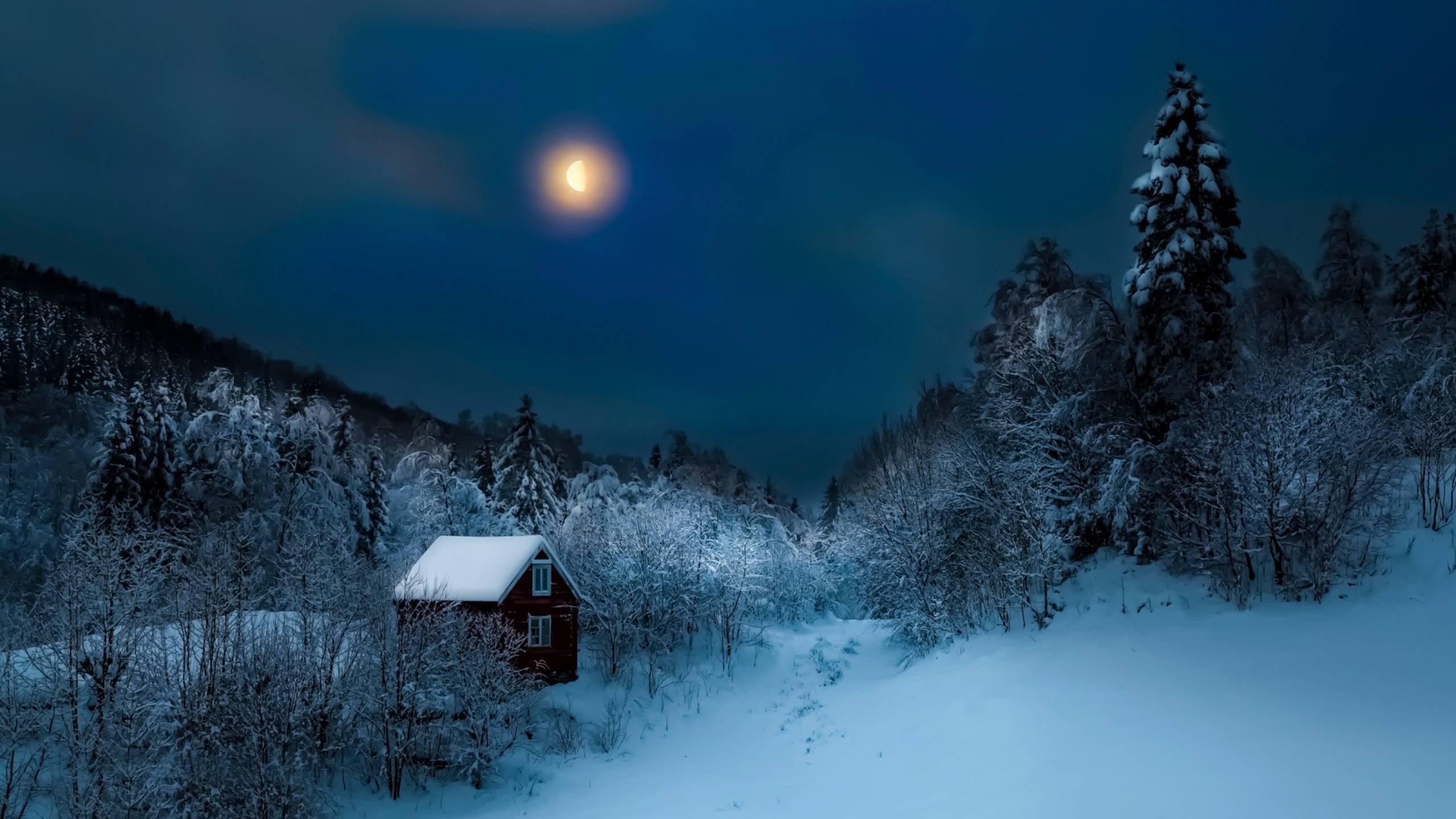 Snowing over the nature  wonderful Winter Snow Night HD wallpaper  Pxfuel