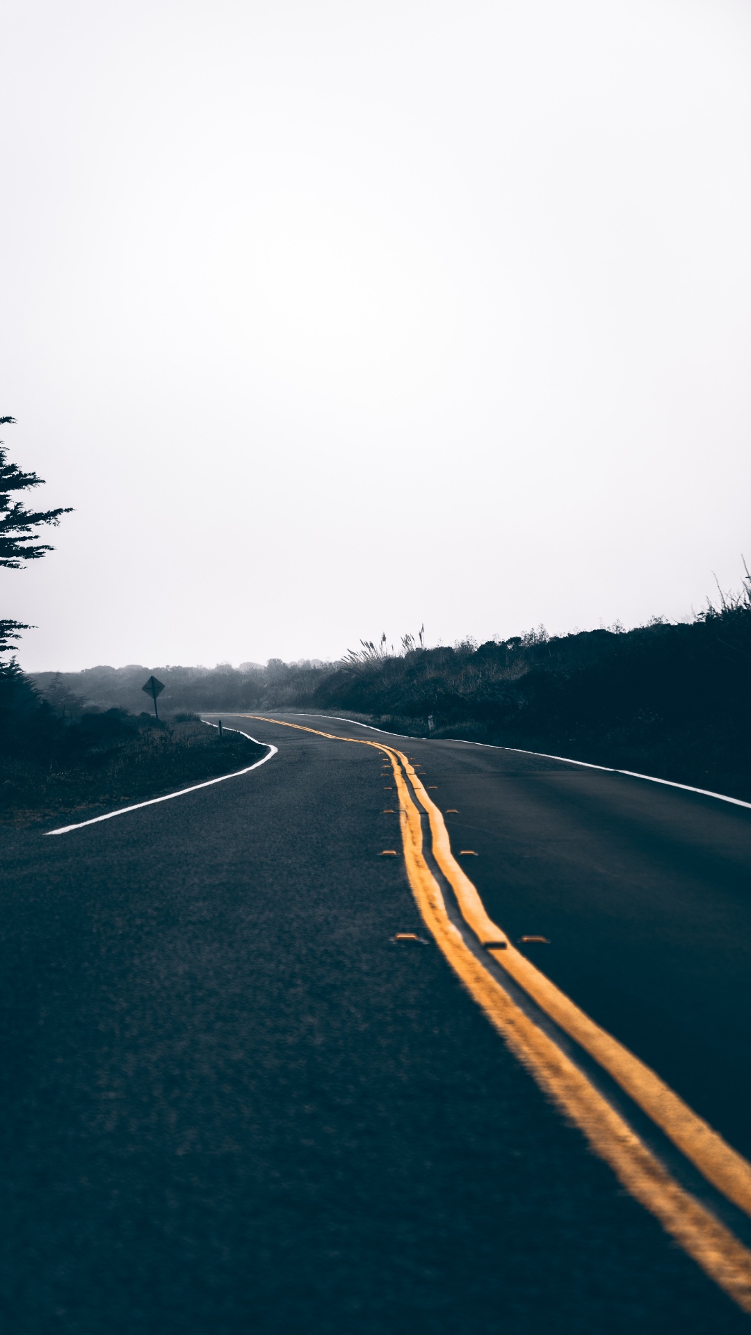 Naturlandschaft, Baum, Asphalt, Infrastruktur, Himmel. Wallpaper in 1080x1920 Resolution