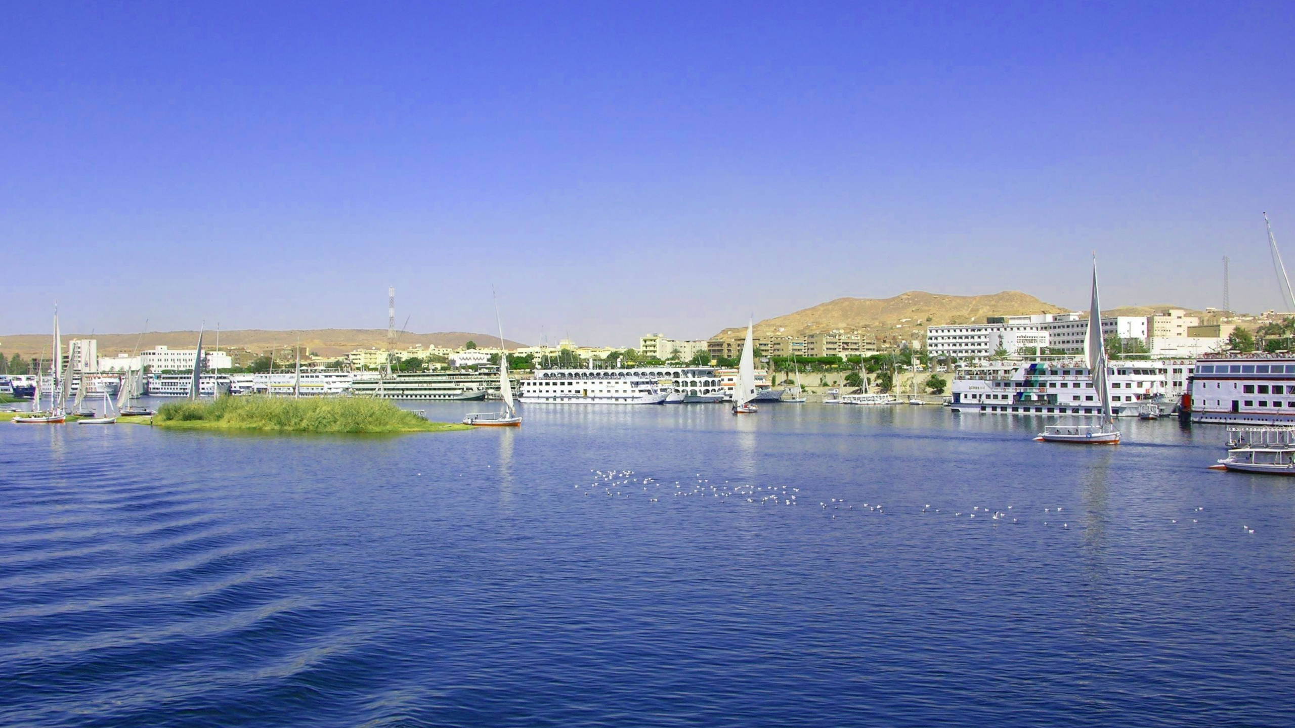 Barco Blanco y Azul Sobre el Agua Cerca Del Campo de Hierba Verde Durante el Día. Wallpaper in 2560x1440 Resolution