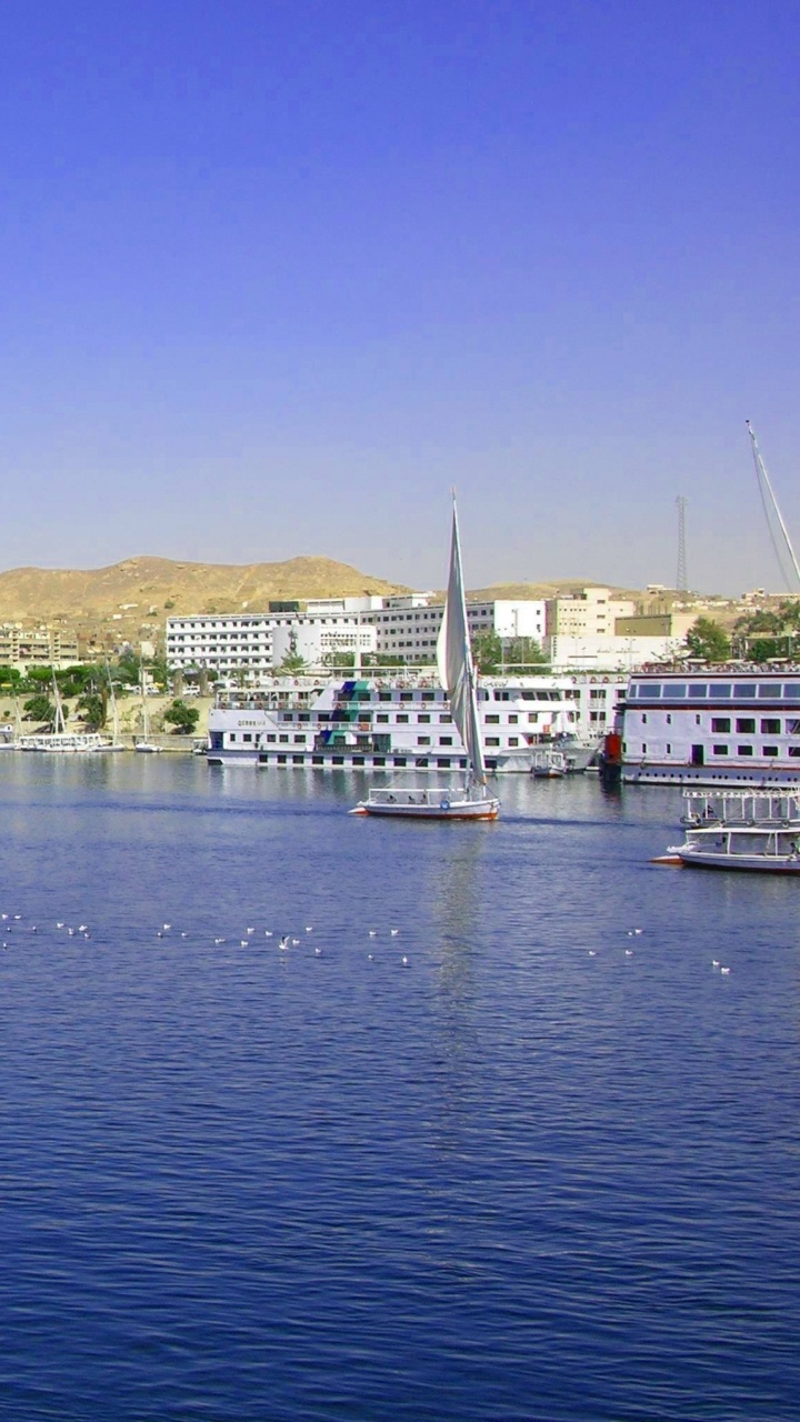 Barco Blanco y Azul Sobre el Agua Cerca Del Campo de Hierba Verde Durante el Día. Wallpaper in 720x1280 Resolution