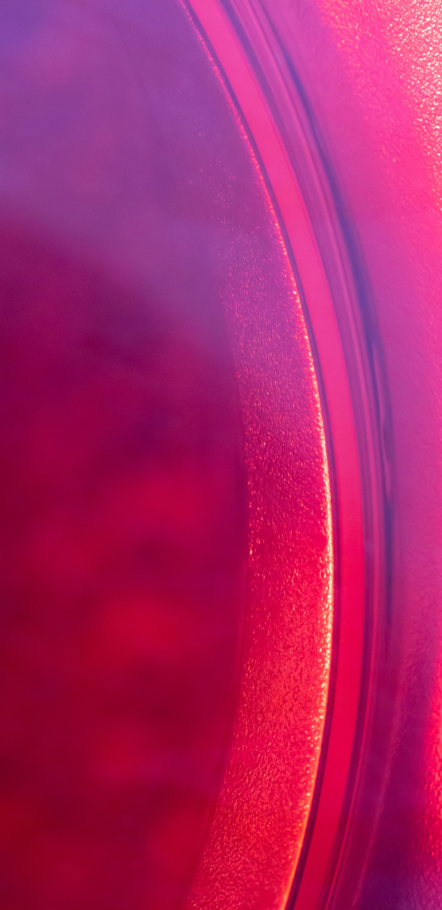 红色的, 粉红色, 品红色, 紫色的, 紫罗兰色 壁纸 1440x2960 允许