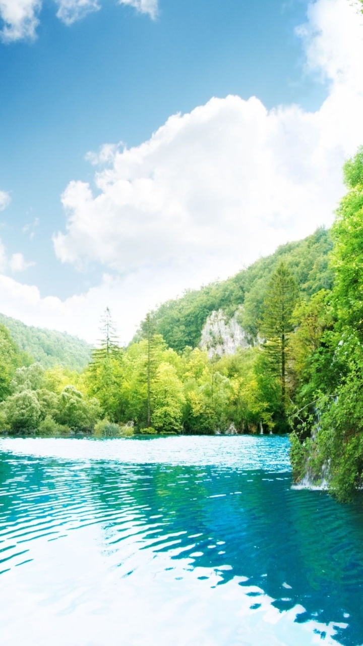 Grüne Bäume Neben Dem Fluss Unter Blauem Himmel Tagsüber. Wallpaper in 720x1280 Resolution