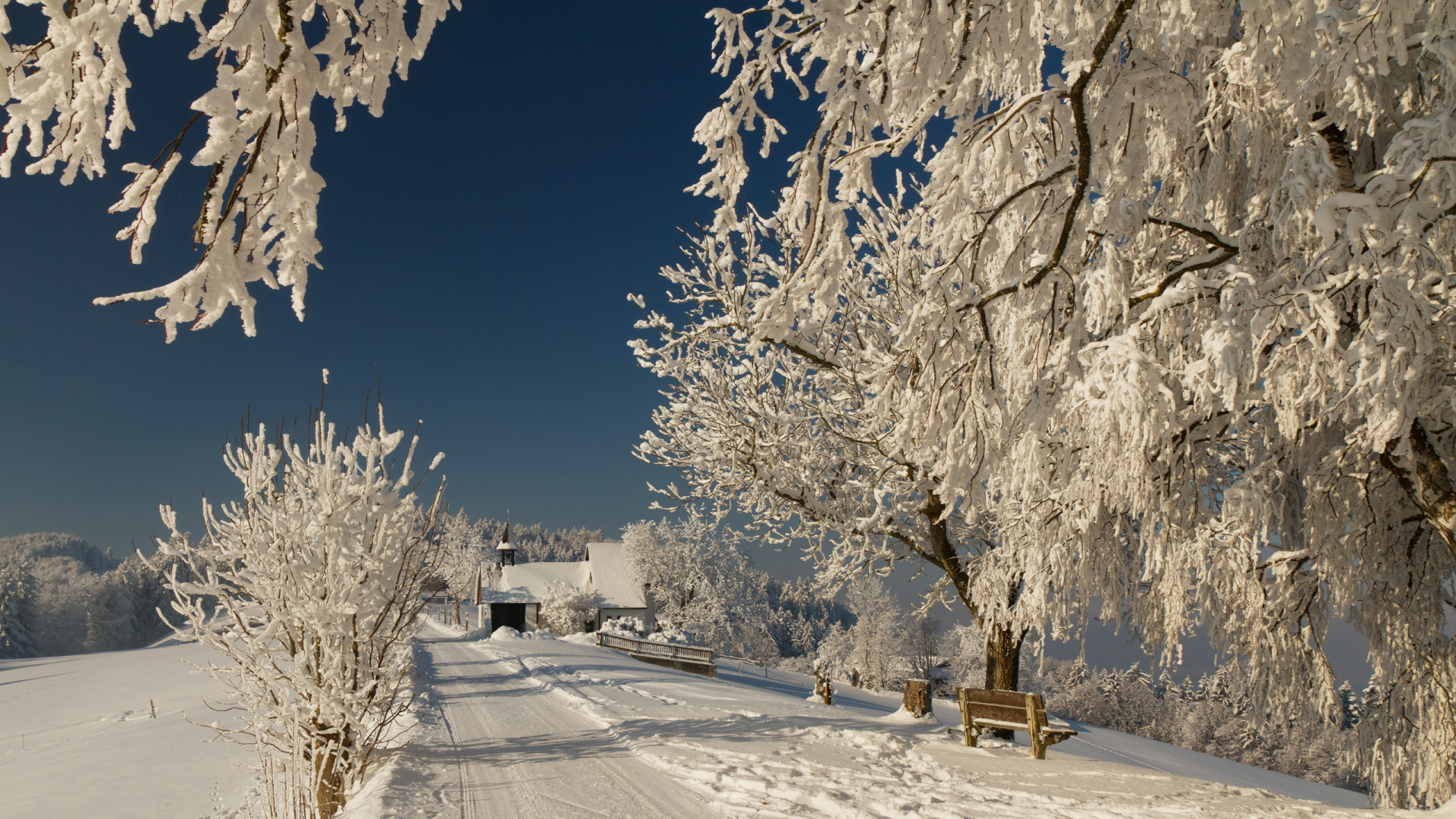 Snow Covered Trees and Road During Daytime. Wallpaper in 1920x1080 Resolution