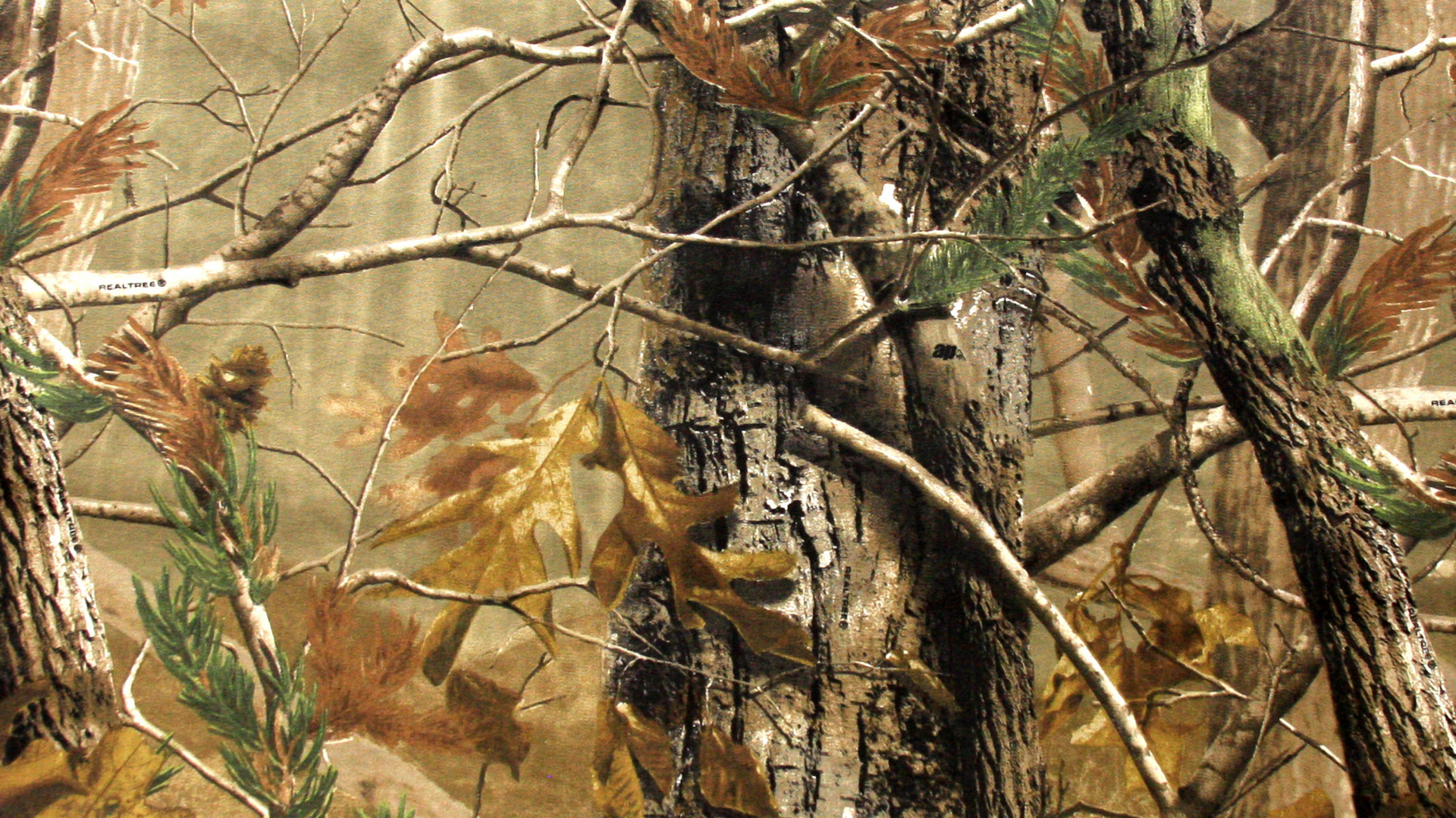 Tronc D'arbre Marron et Blanc. Wallpaper in 1920x1080 Resolution