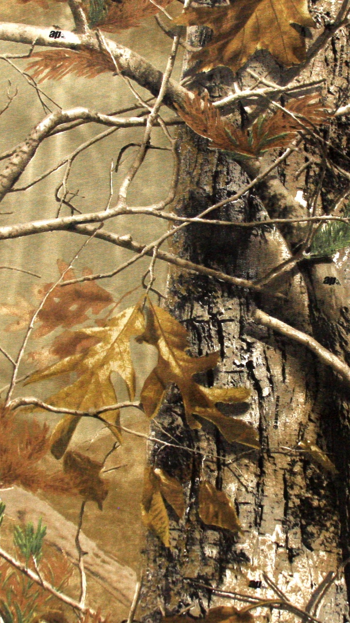 Tronc D'arbre Marron et Blanc. Wallpaper in 720x1280 Resolution