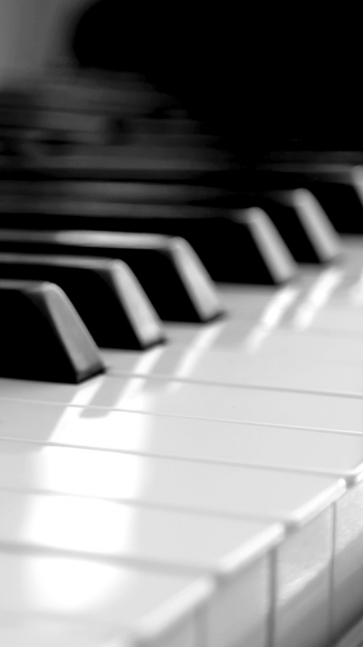 Piano, Keyboard, Musical Keyboard, Key, Black and White. Wallpaper in 750x1334 Resolution