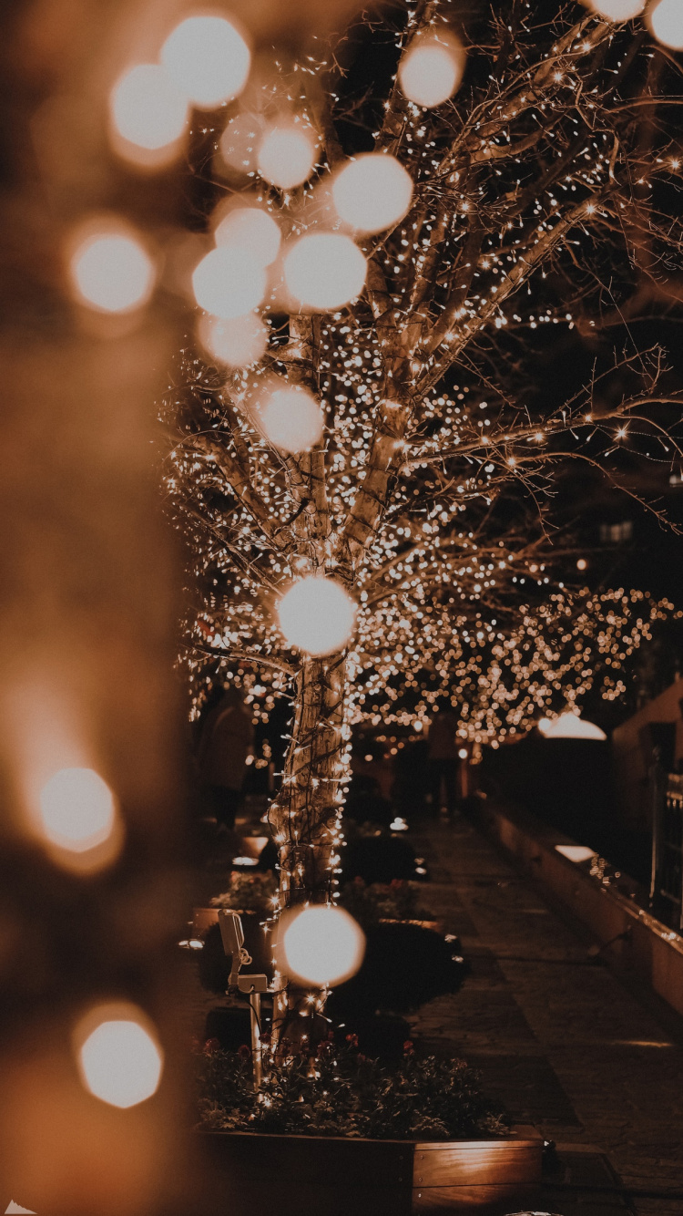 Luz, Fujifilm, Navidad, Luces de Navidad, Fujinon xf 56mm f1 2r. Wallpaper in 750x1334 Resolution