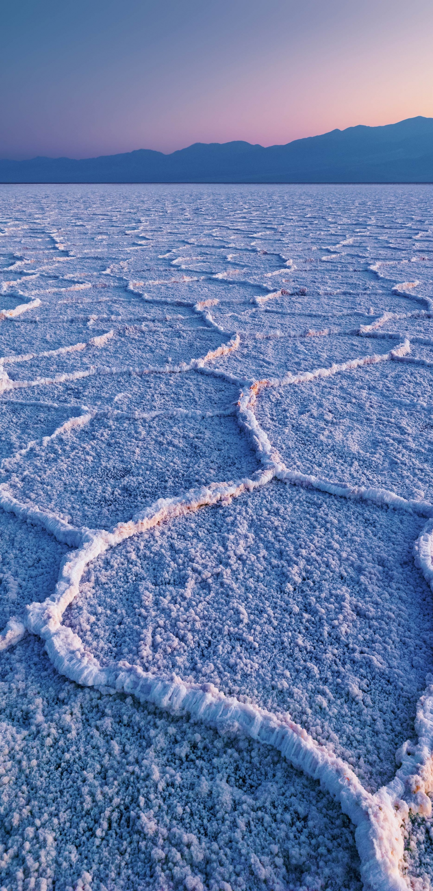 Sea, Arctic Ocean, Water, Ice, Polar Ice Cap. Wallpaper in 1440x2960 Resolution