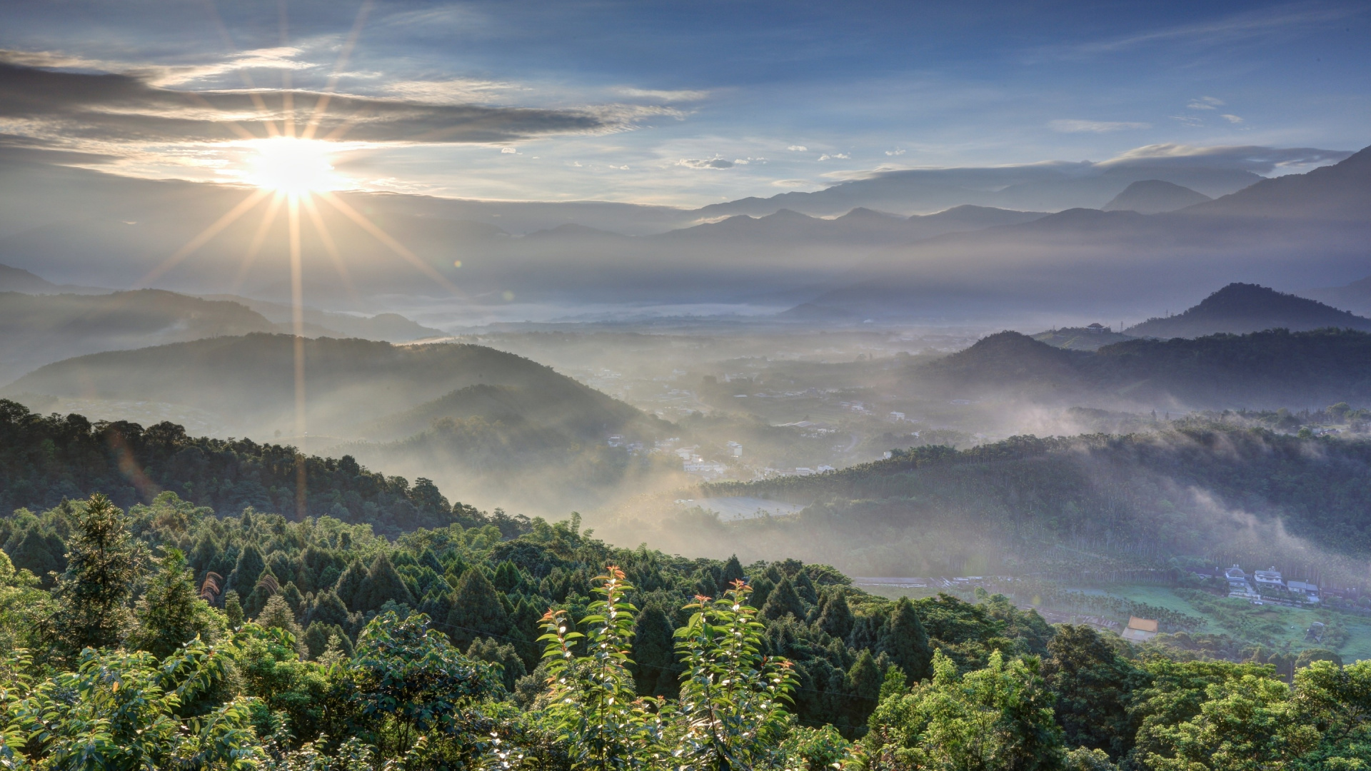 Tagsüber Grüne Bäume Unter Weißen Wolken. Wallpaper in 1920x1080 Resolution