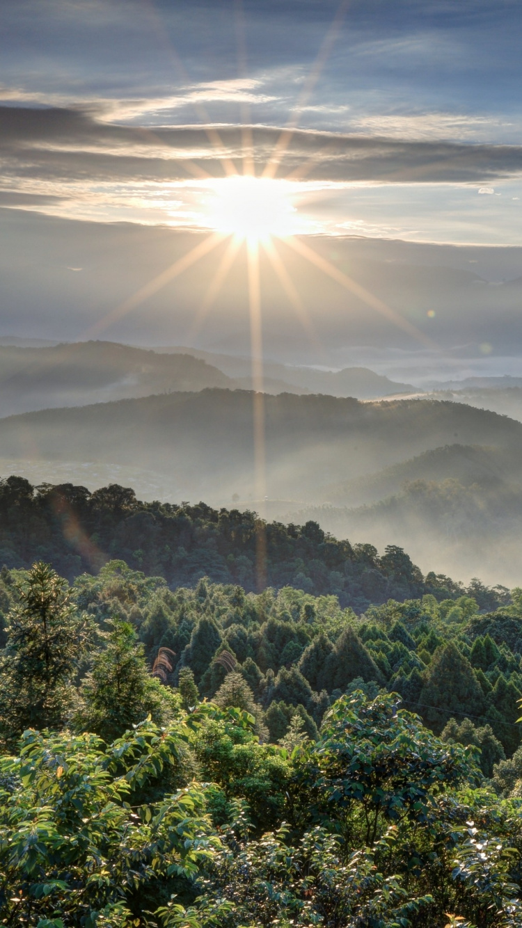 Tagsüber Grüne Bäume Unter Weißen Wolken. Wallpaper in 750x1334 Resolution