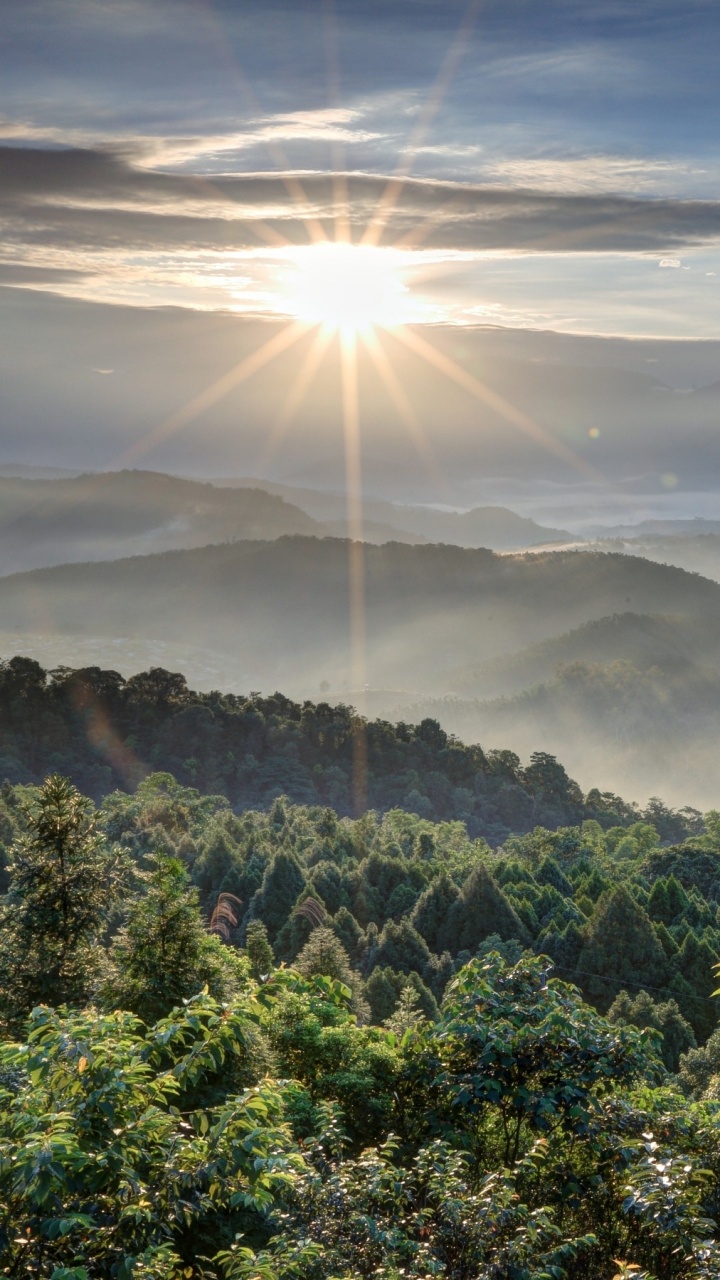 Green Trees Under White Clouds During Daytime. Wallpaper in 720x1280 Resolution