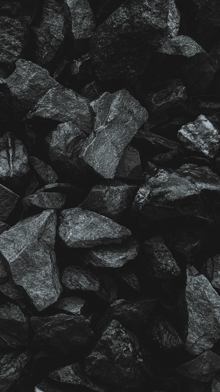 Schwarz Und Weiß, Monochrom, Schwarz, Naturmaterialien, Kohle. Wallpaper in 750x1334 Resolution