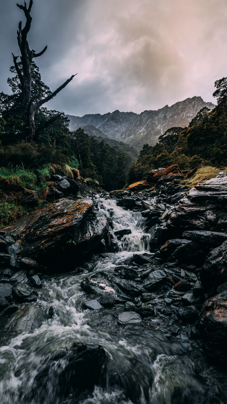 Nature, Cascade, Eau, Paysage Naturel, Highland. Wallpaper in 750x1334 Resolution
