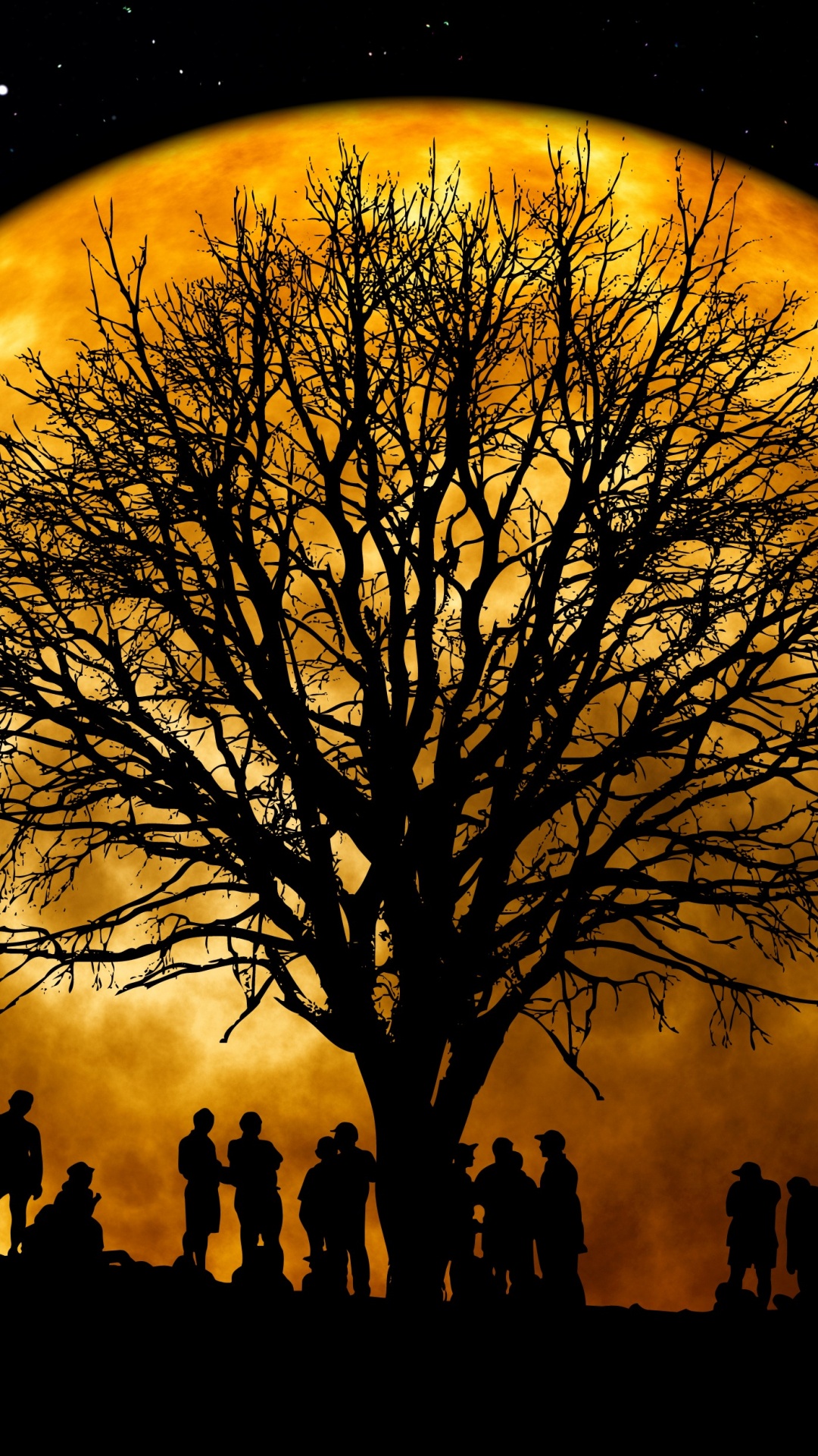 Silhouette of Bare Trees During Night Time. Wallpaper in 1080x1920 Resolution