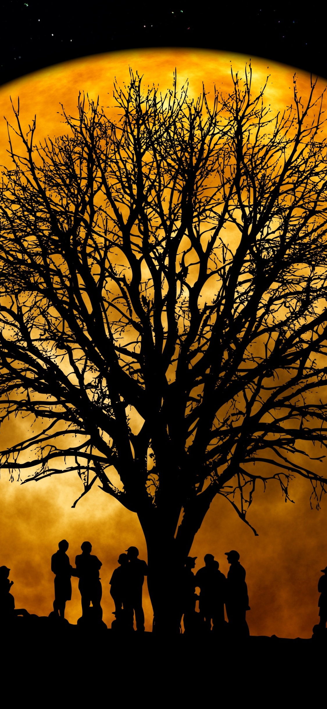 Silhouette of Bare Trees During Night Time. Wallpaper in 1125x2436 Resolution
