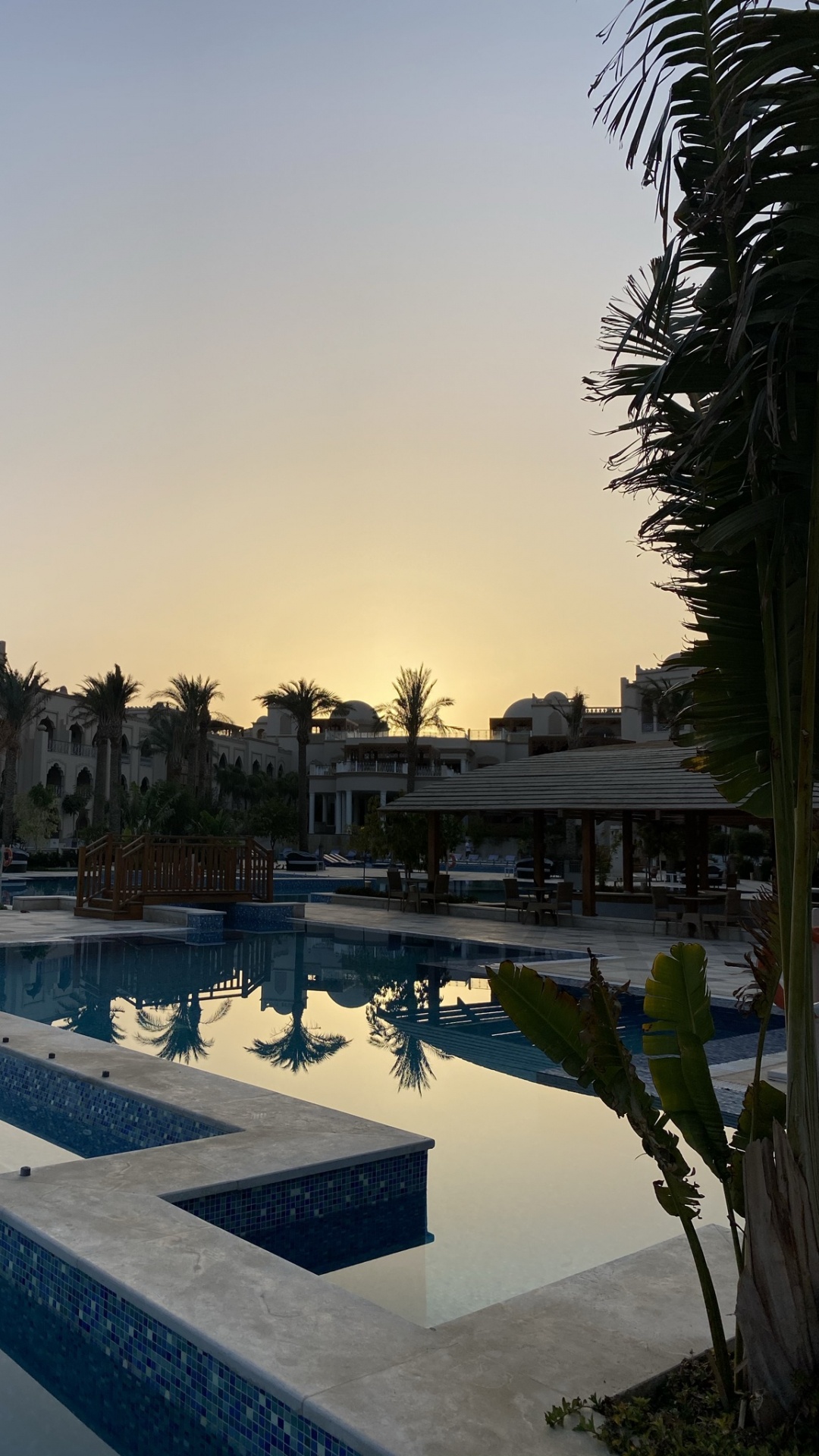 Reflexion, Pool, Palme, Wasser, Wasserressourcen. Wallpaper in 1080x1920 Resolution