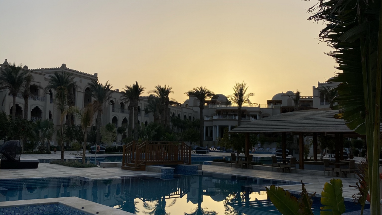 Reflexion, Pool, Palme, Wasser, Wasserressourcen. Wallpaper in 1280x720 Resolution