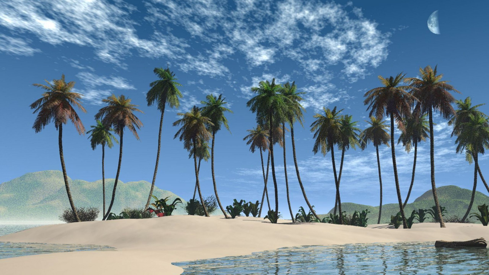 Palmeras en la Playa de Arena Blanca Durante el Día. Wallpaper in 1920x1080 Resolution