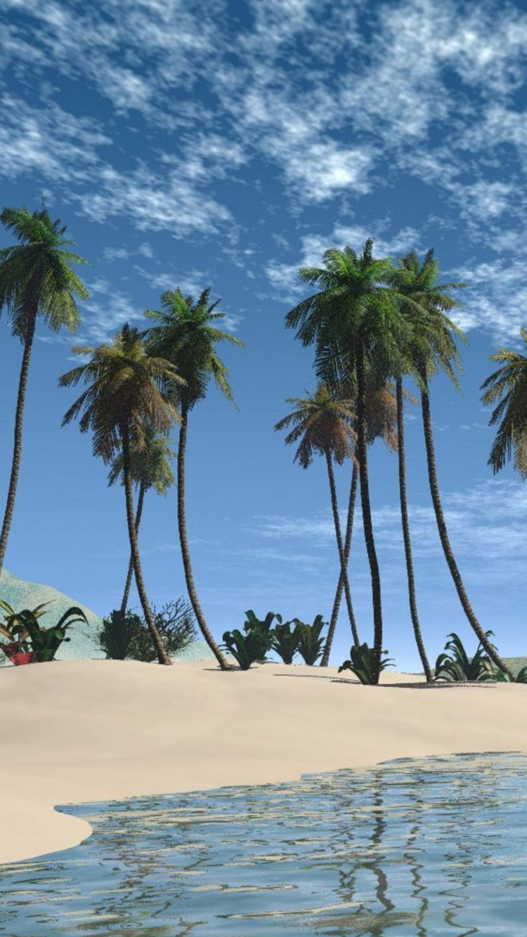 Palm Trees on White Sand Beach During Daytime. Wallpaper in 750x1334 Resolution