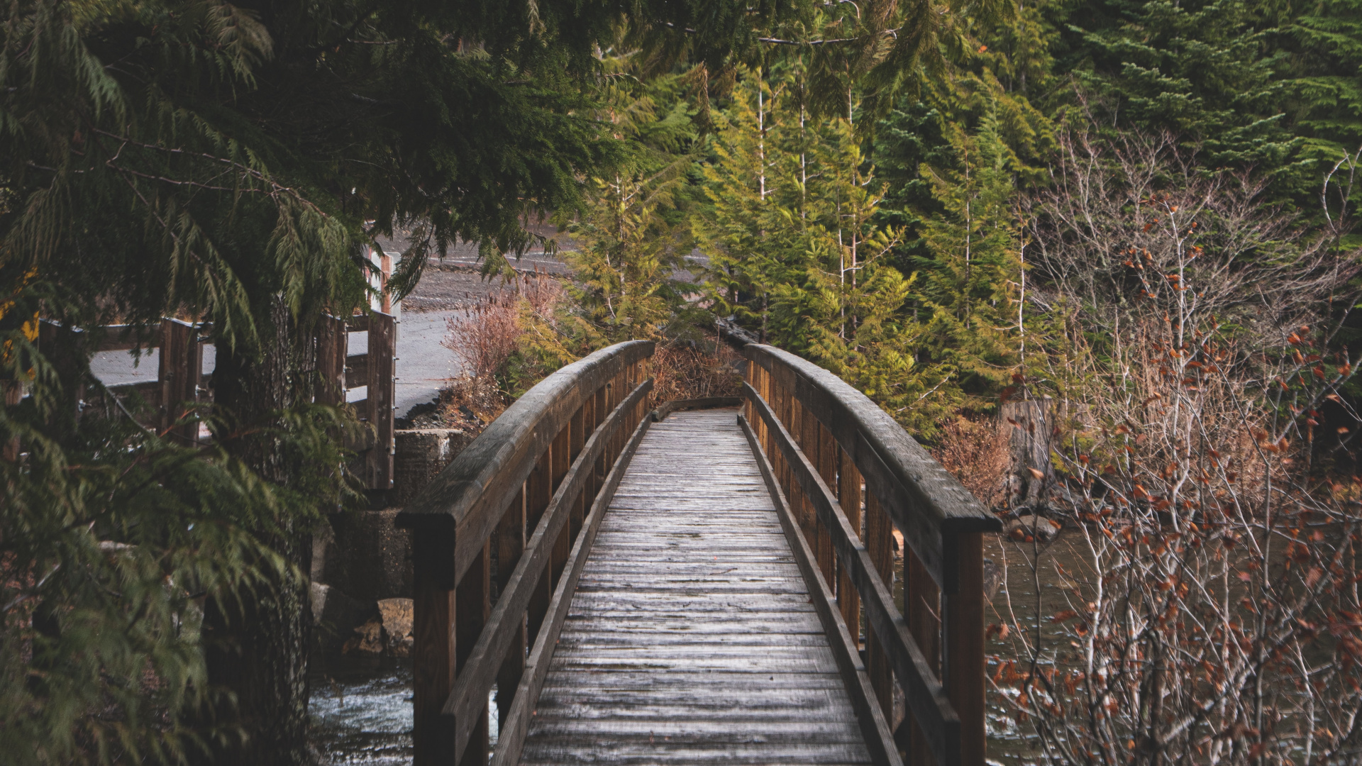 Trillium Lake, Tree, Runway, Wood, Natural Landscape. Wallpaper in 1920x1080 Resolution