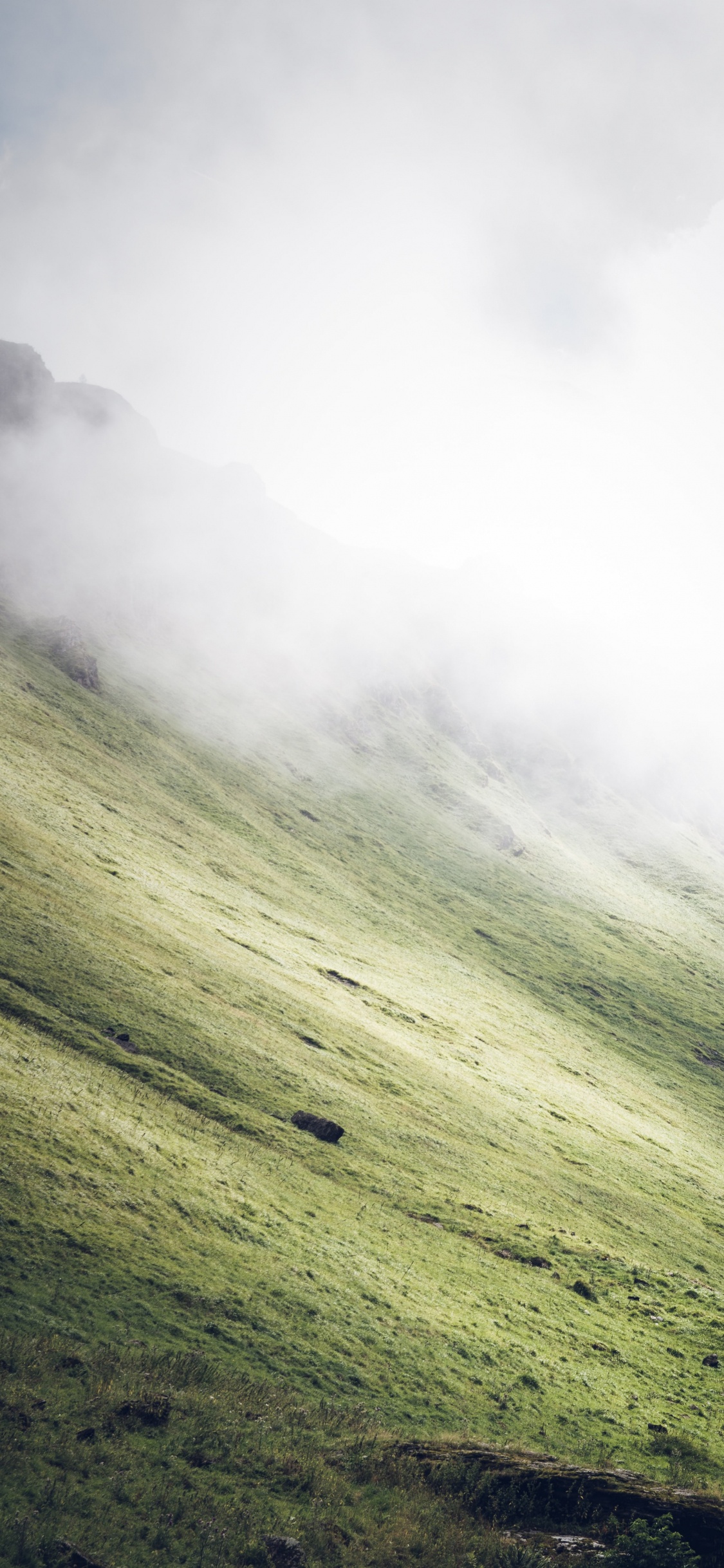 Plant, Natural Landscape, Fog, Slope, Terrain. Wallpaper in 1125x2436 Resolution