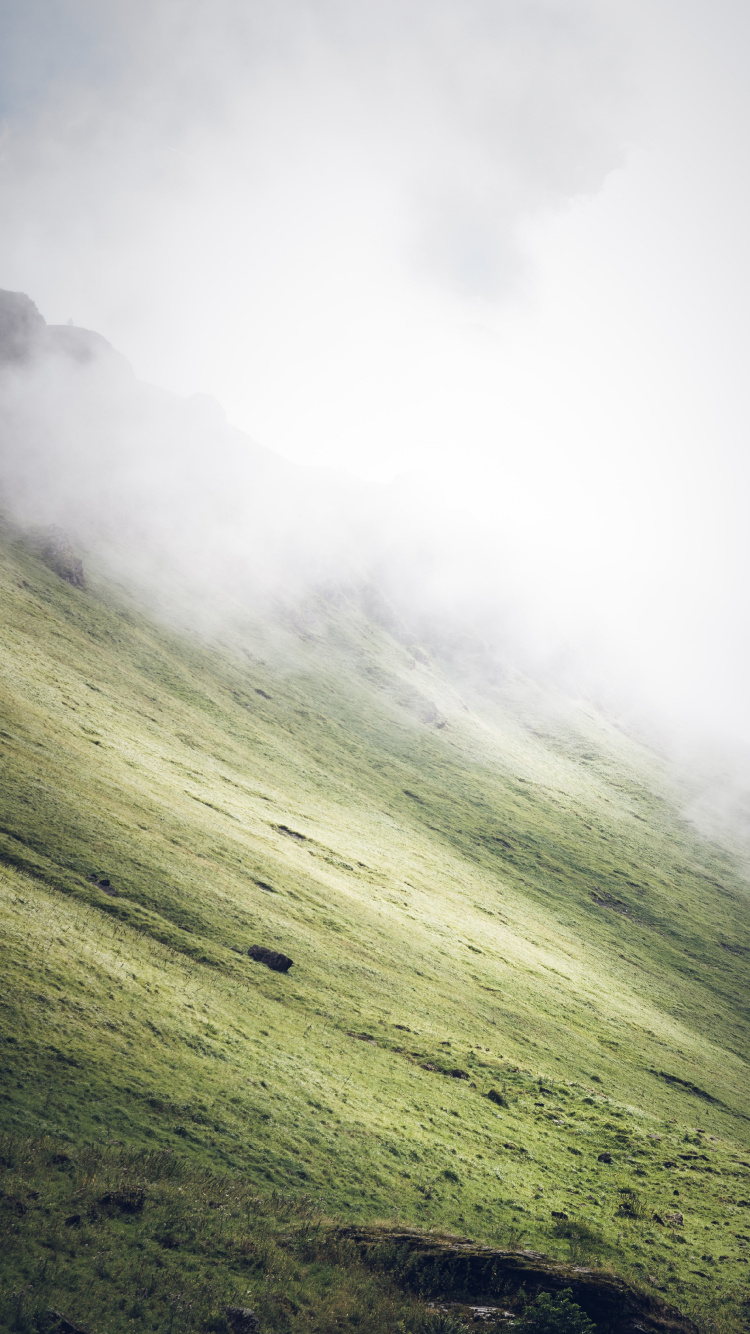 Plant, Natural Landscape, Fog, Slope, Terrain. Wallpaper in 750x1334 Resolution
