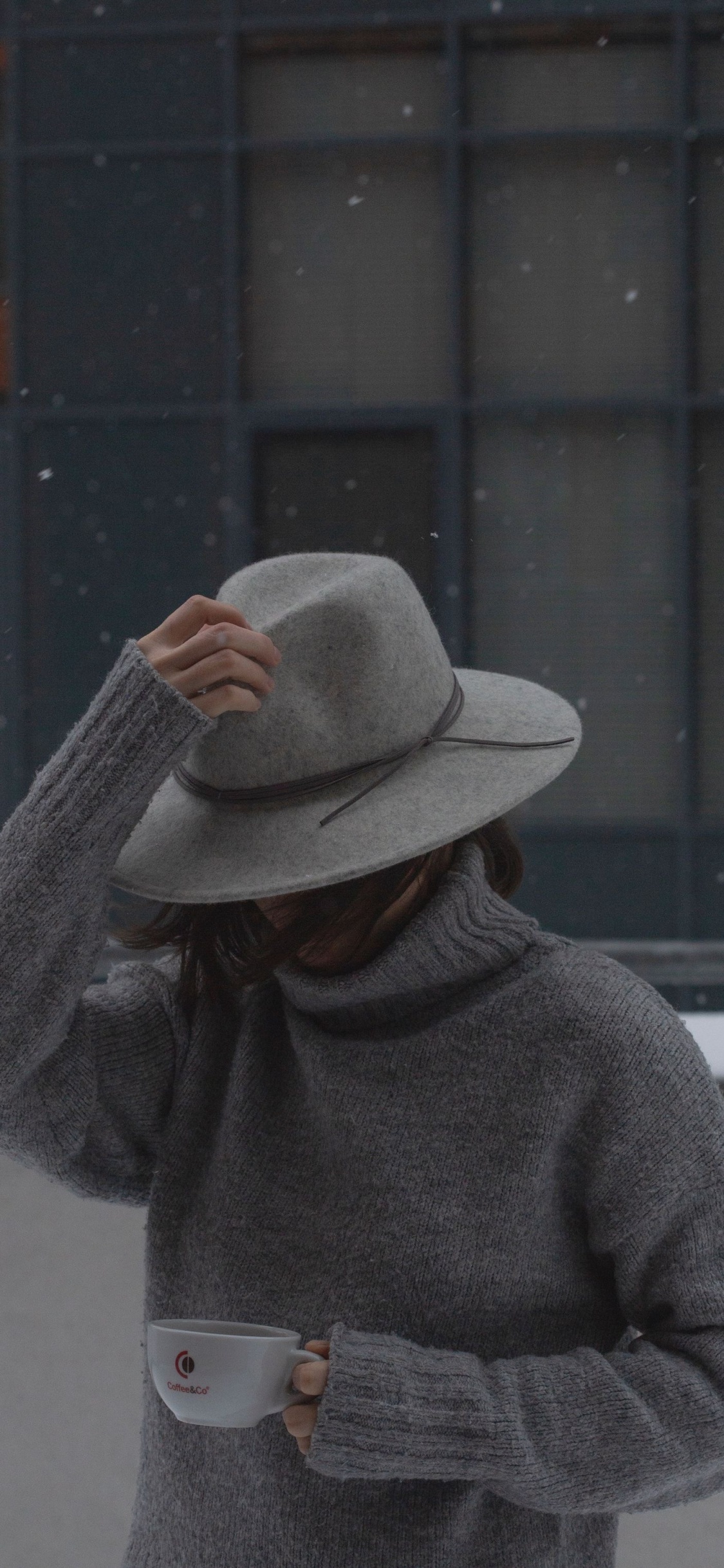 Hat, Cap, Sun Hat, Fedora, Sleeve. Wallpaper in 1125x2436 Resolution